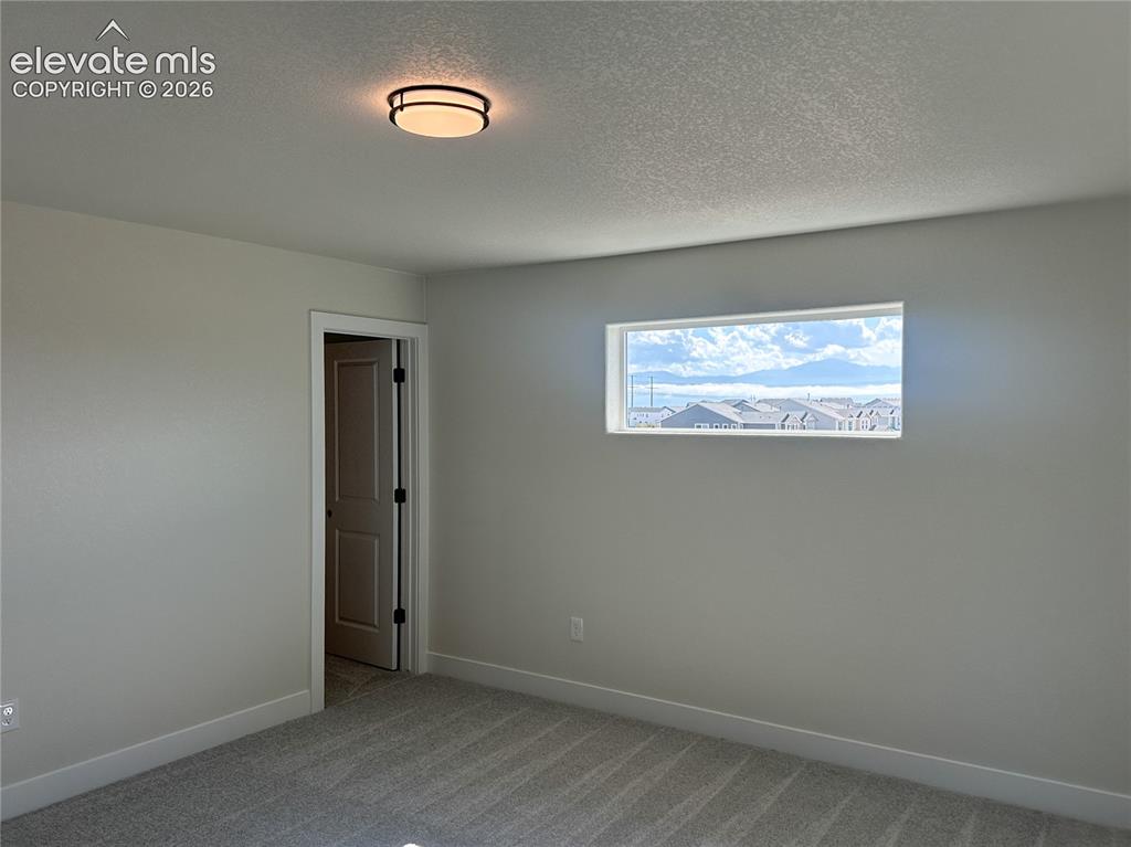 8214 Lemon Grass Road Falcon, CO 80831 - Photo 17 of 41