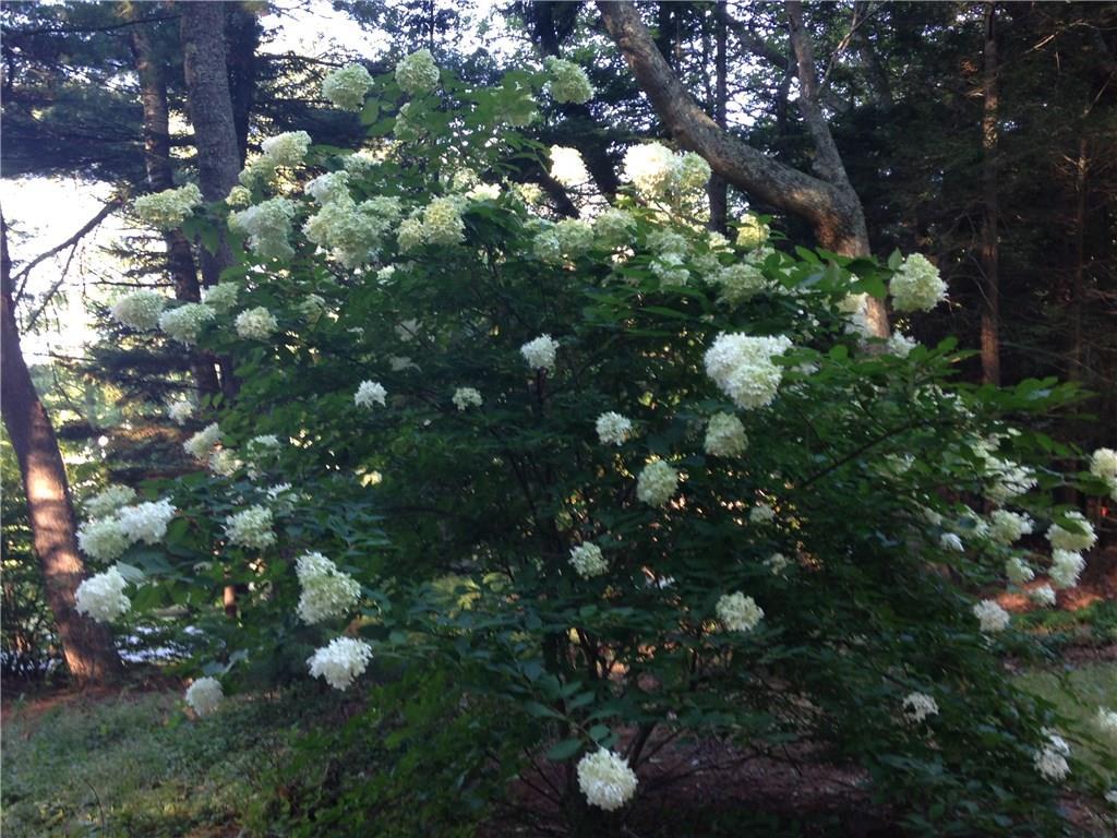 40 Belfield Road Cape Elizabeth, ME 04107 - Photo 27 of 33 Photo