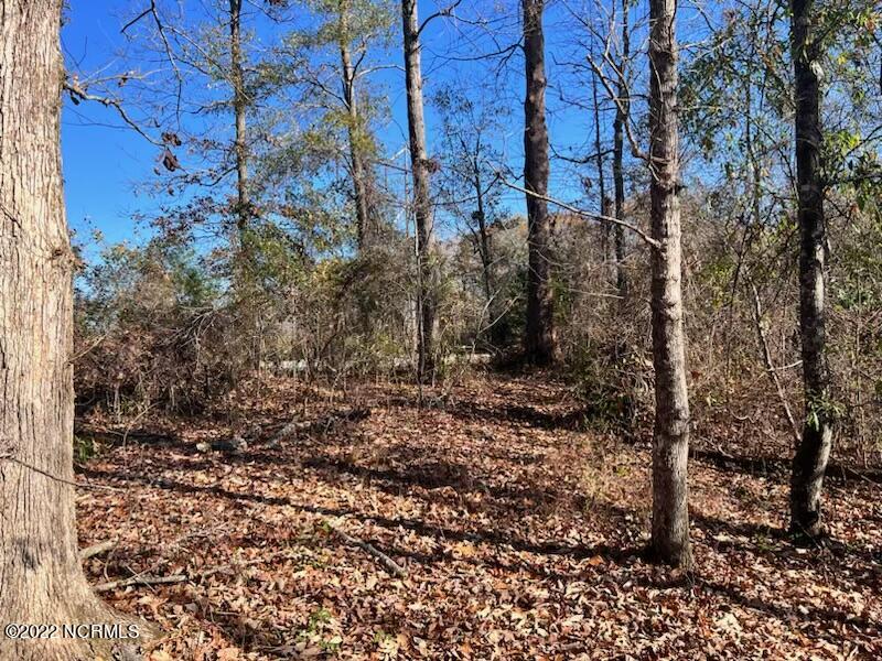 242 Riverbend Road Jacksonville, NC 28540 - Photo 4 of 15 Pic10