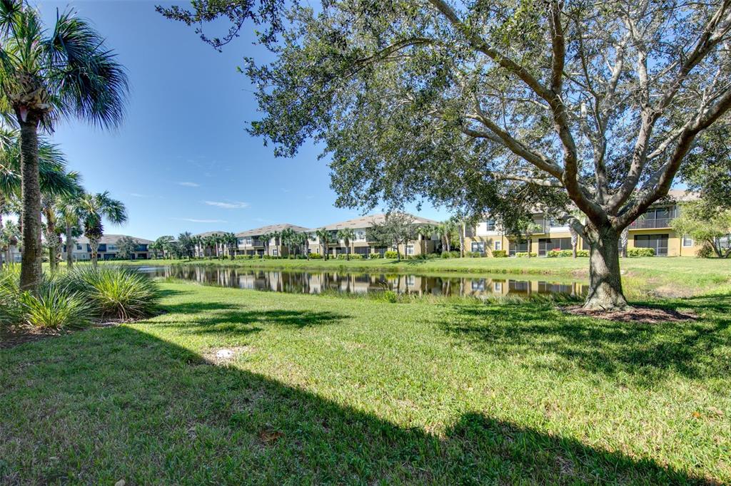 4026 Overture Circle Bradenton, FL 34209 - Photo 22 of 26 a view of yard with green space and trees around