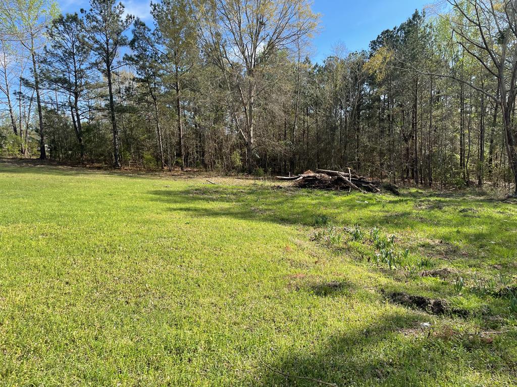 98 Battle Road Hurtsboro, AL 36860 - Photo 22 of 22