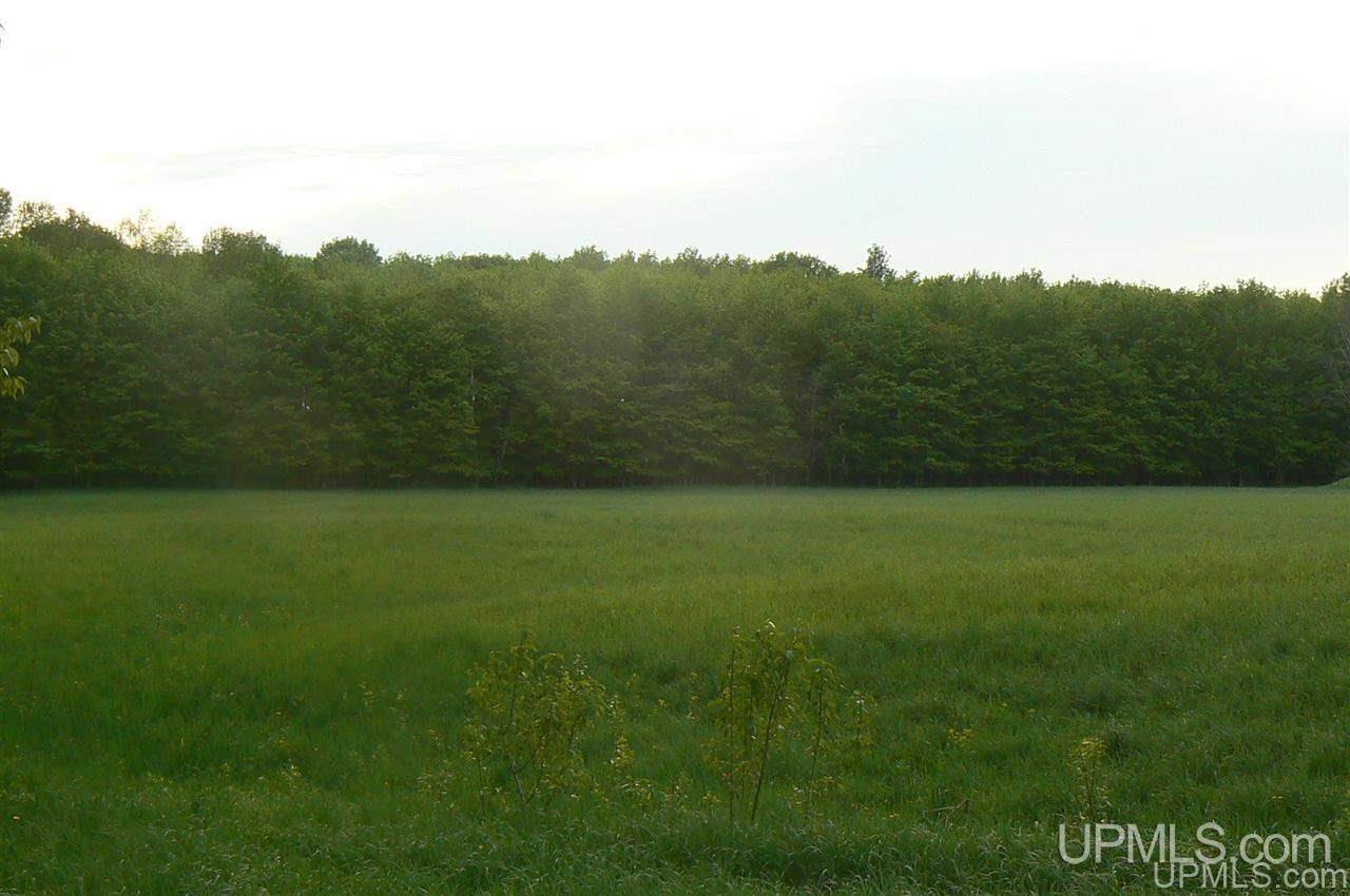 Tbd Benson 53 Acres Road Chatham, MI 49816 - Photo 1 of 10