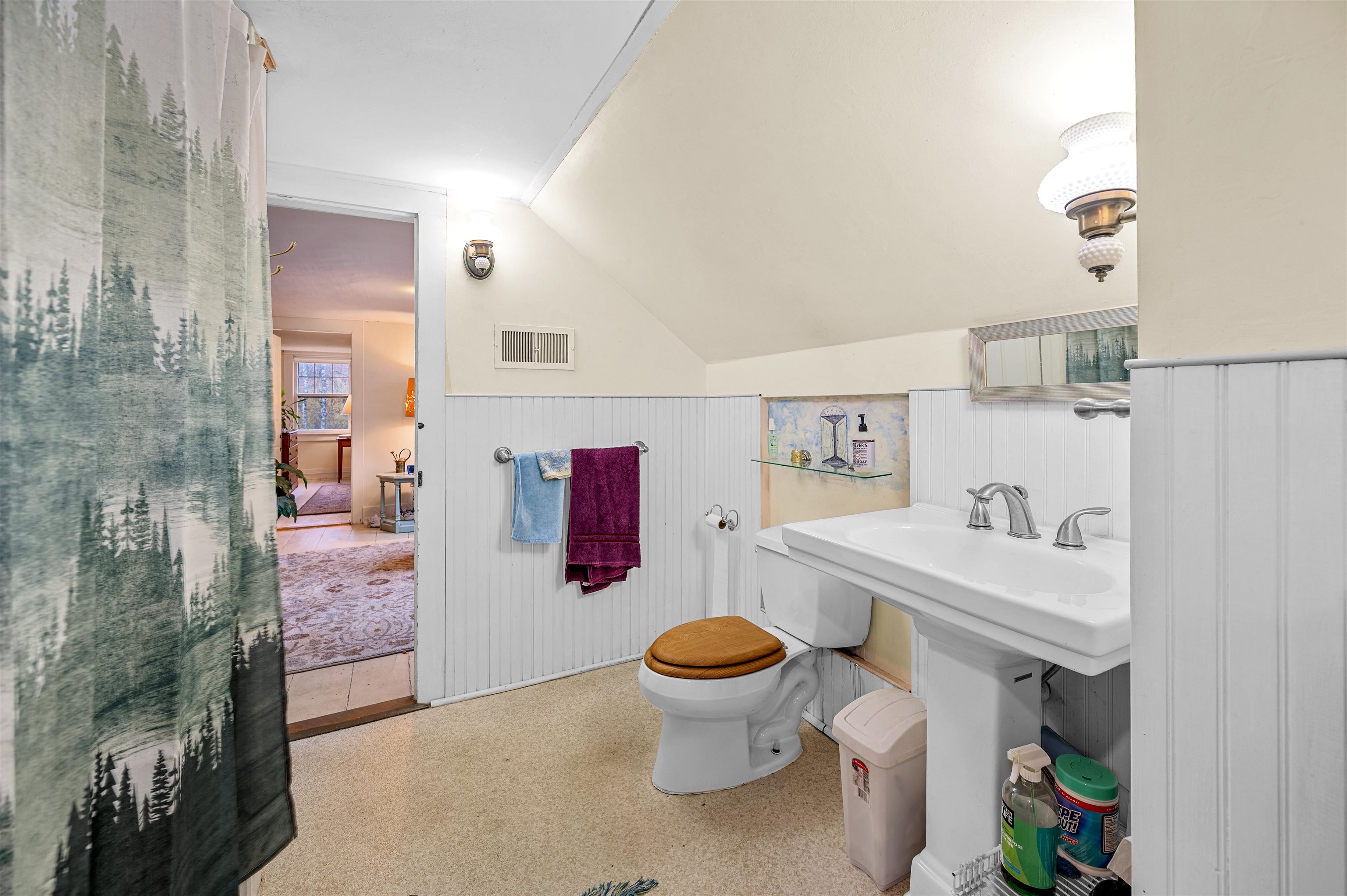 3821 Cabot Road Cabot, VT 05647 - Photo 36 of 59