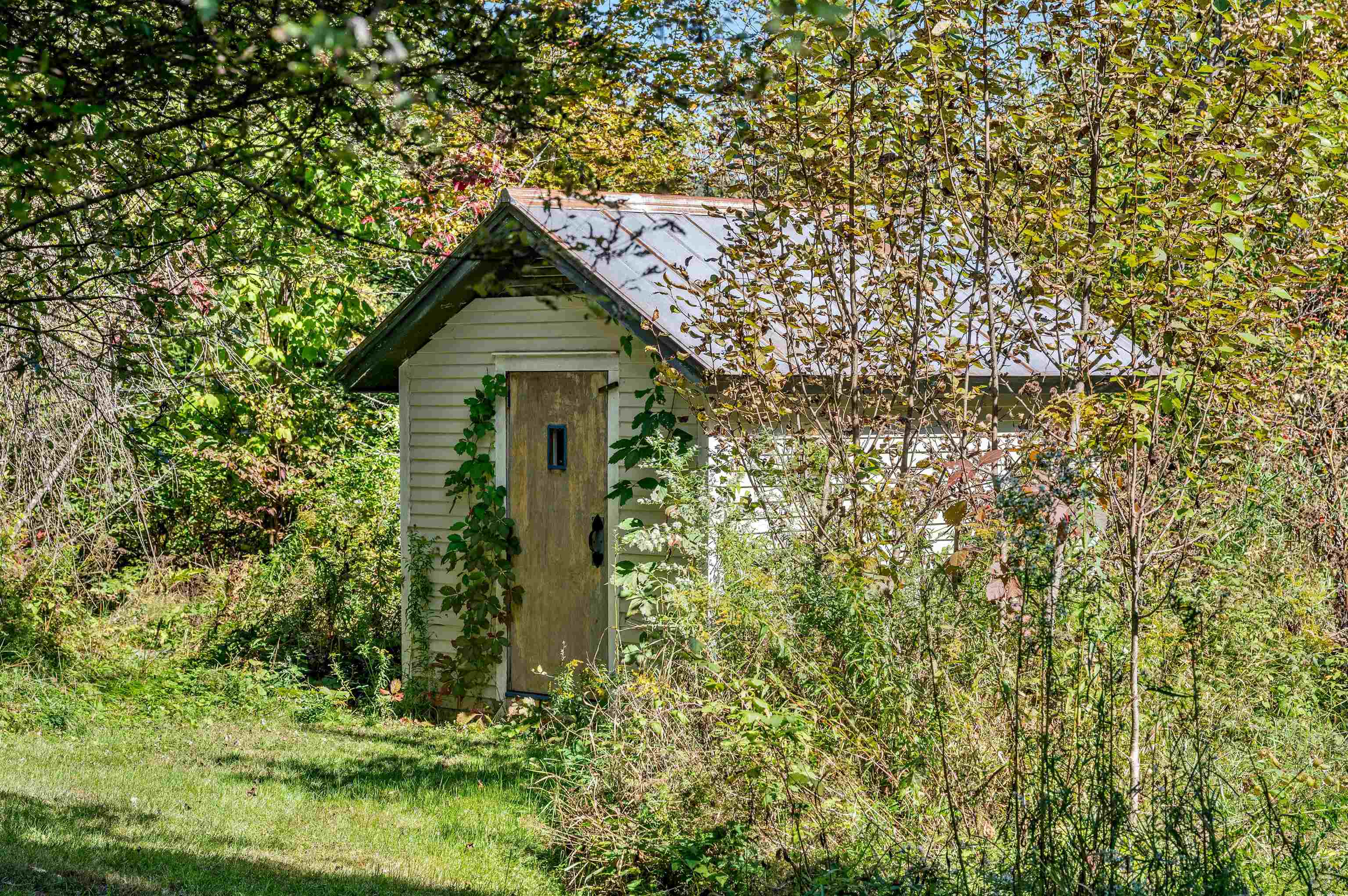 3821 Cabot Road Cabot, VT 05647 - Photo 40 of 59