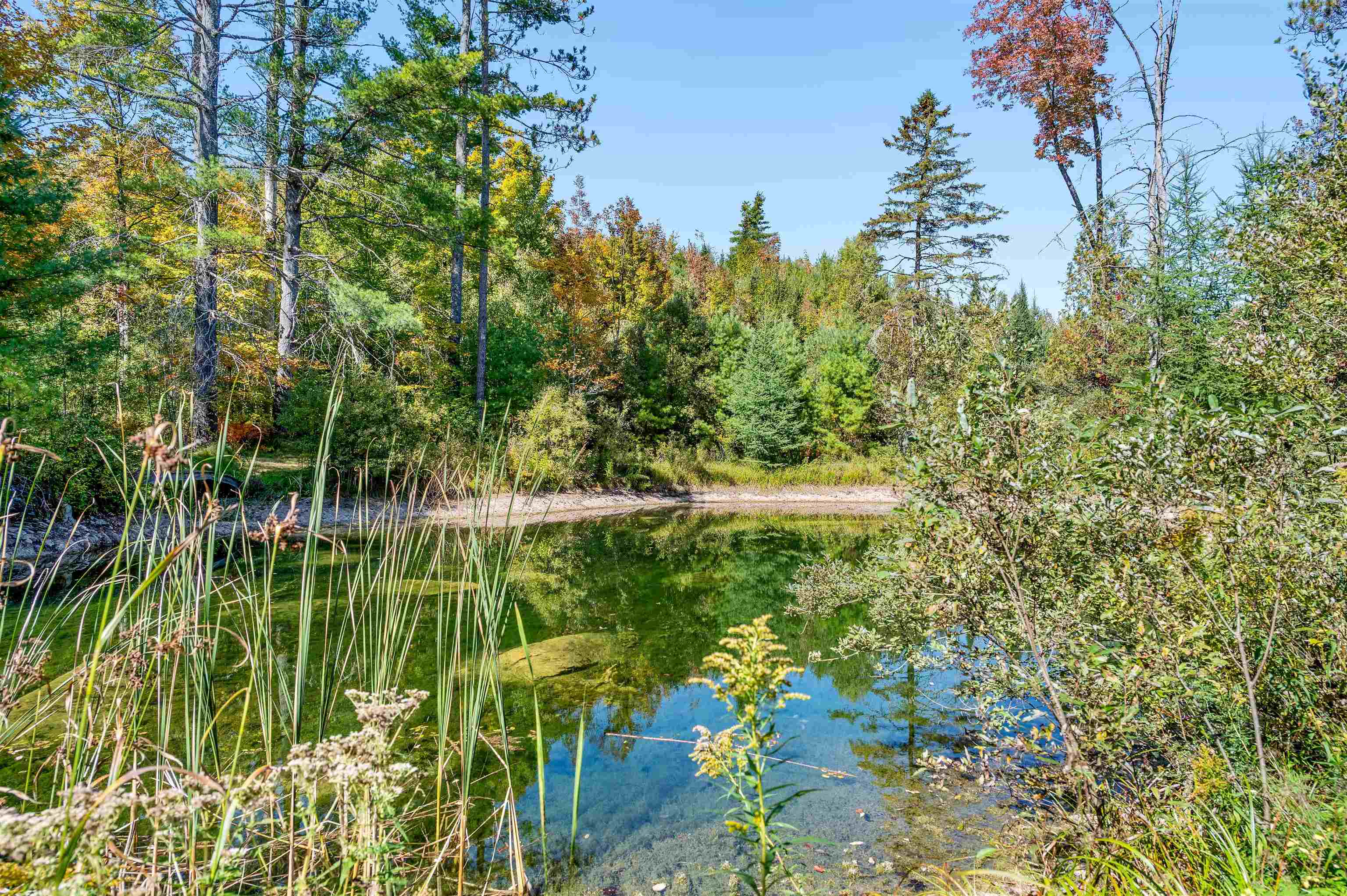 3821 Cabot Road Cabot, VT 05647 - Photo 45 of 59
