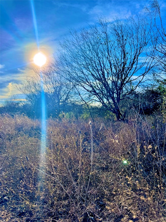 Tbd Tract H Tbd Tract H Scull Road San Marcos, TX 78666 - Photo 11 of 13 a view of a yard