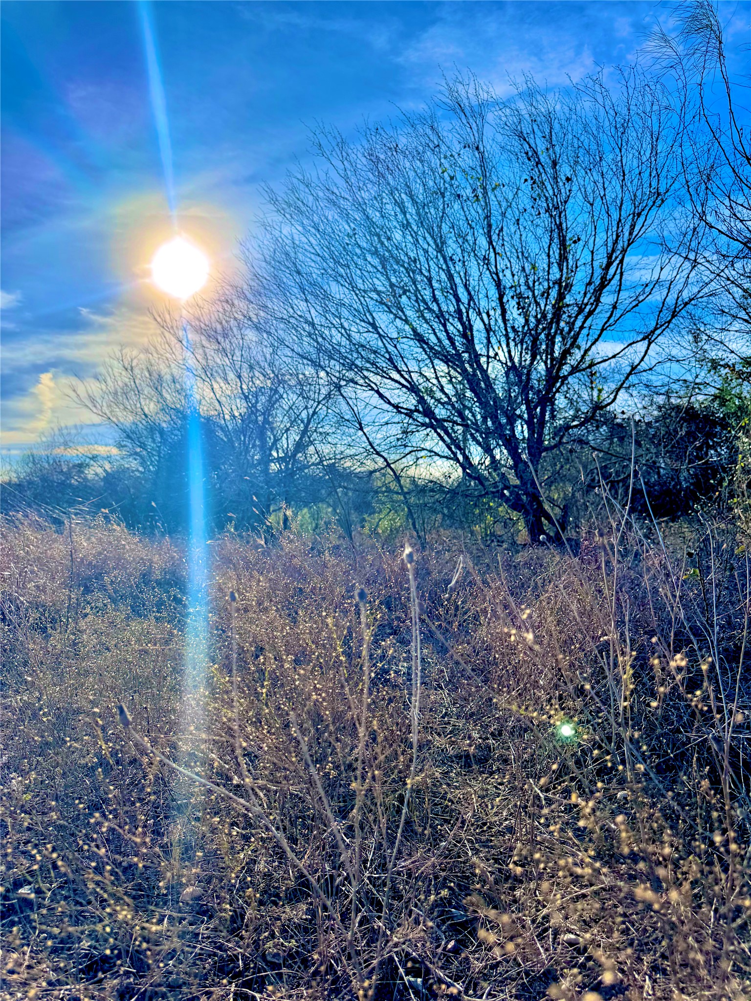 Tbd Tract H Tbd Tract H Scull Road San Marcos, TX 78666 - Photo 11 of 13 a view of a yard with plants and trees