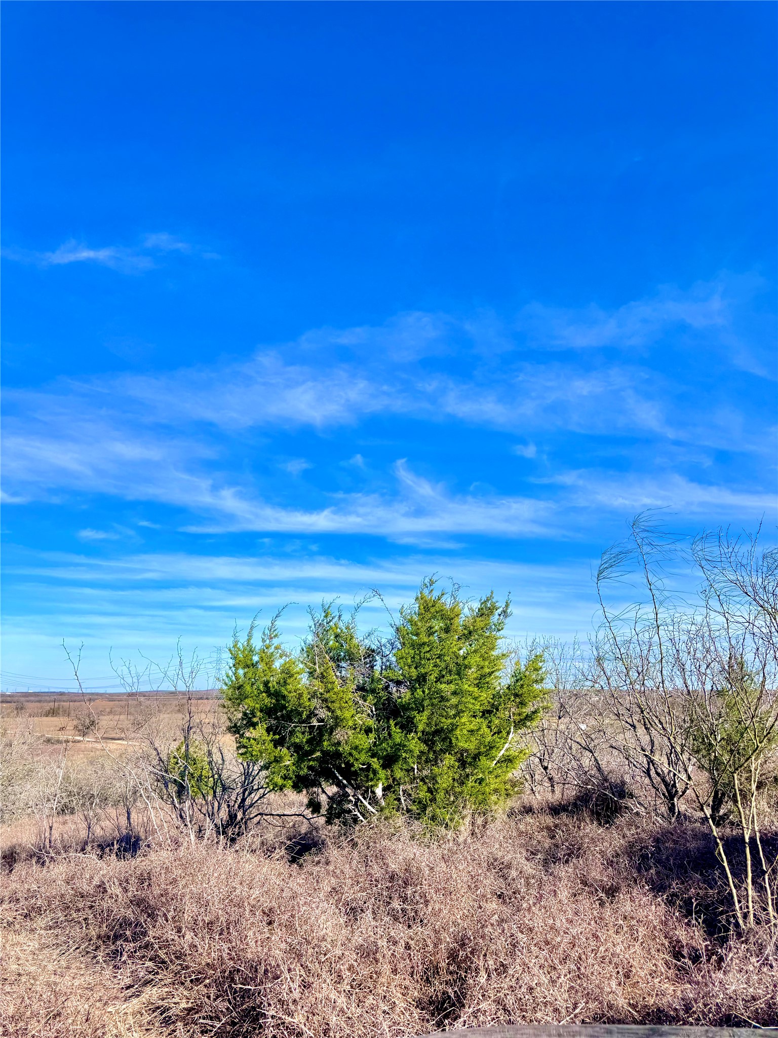 Tbd Tract H Tbd Tract H Scull Road San Marcos, TX 78666 - Photo 4 of 13 a view of a yard