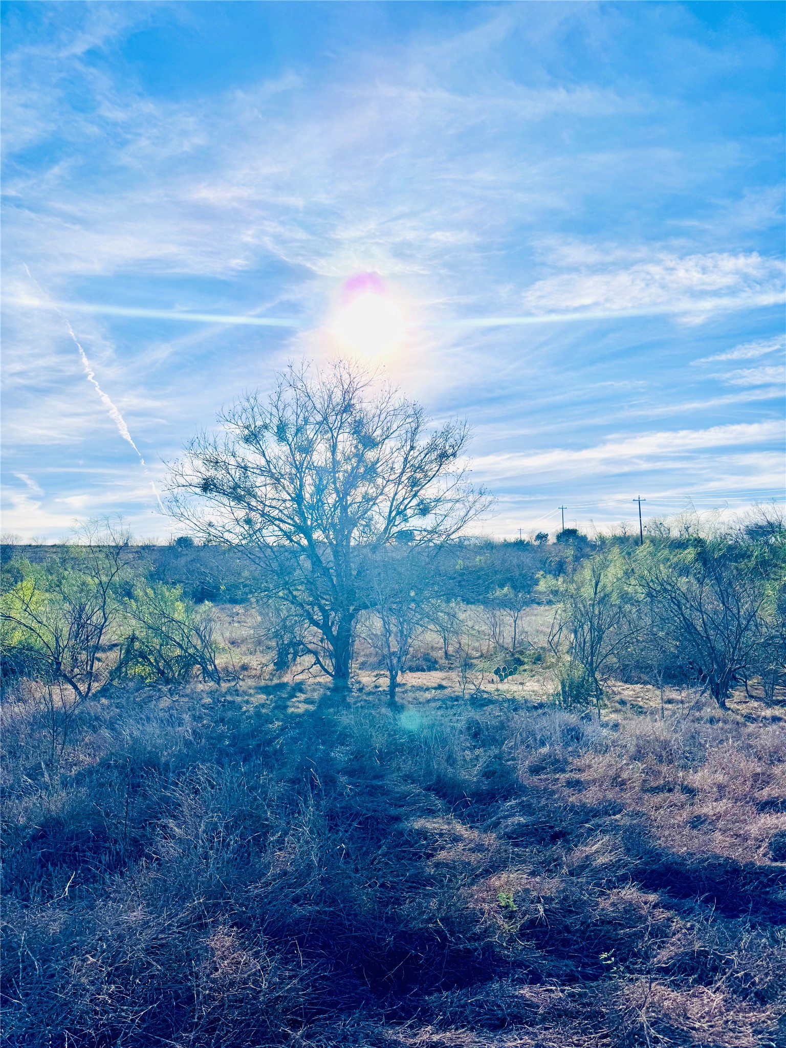 Tbd Tract H Tbd Tract H Scull Road San Marcos, TX 78666 - Photo 7 of 13 a view of a yard with an outdoor space