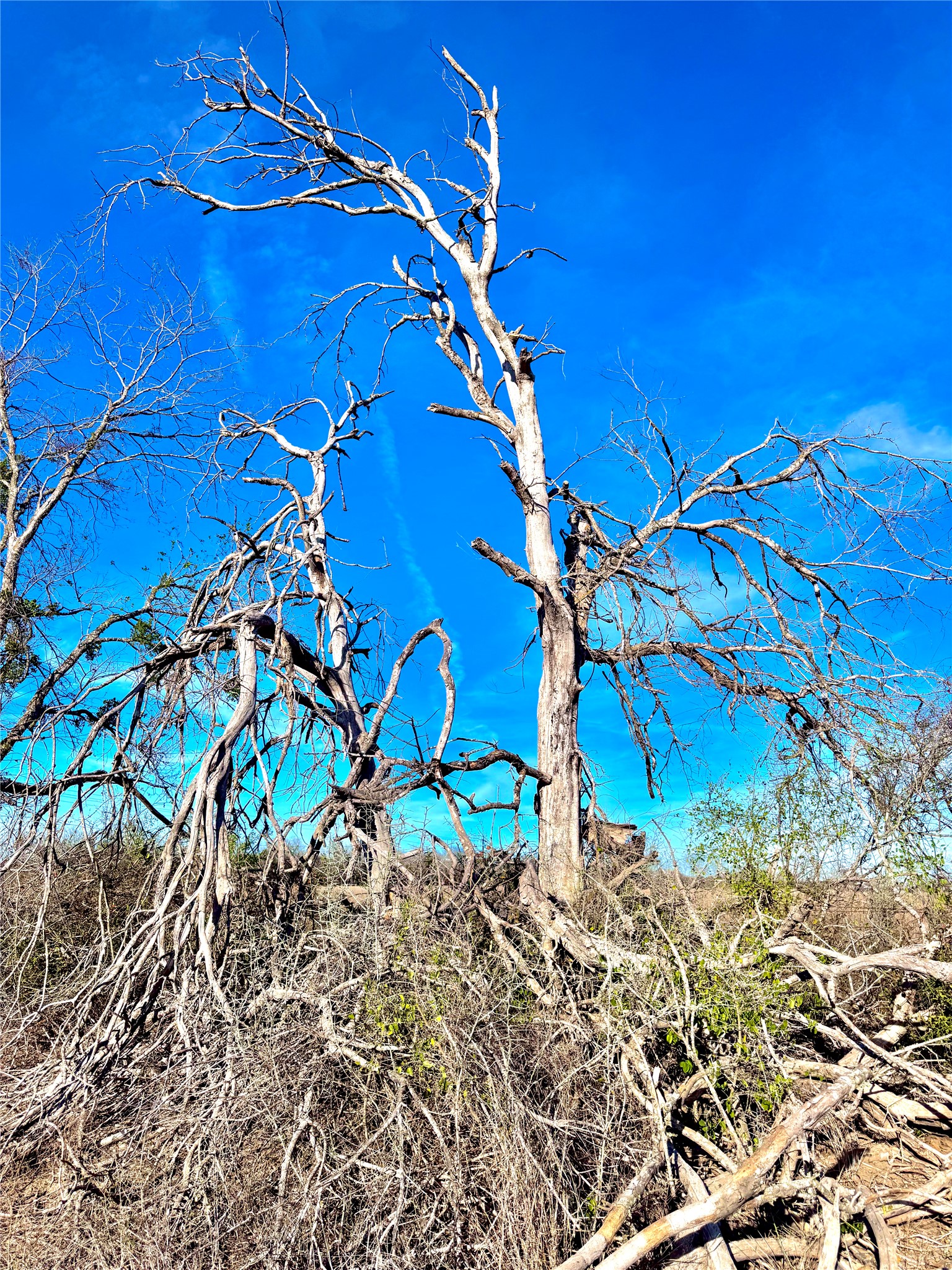 Tbd Tract H Tbd Tract H Scull Road San Marcos, TX 78666 - Photo 9 of 13 a view of a house with a yard