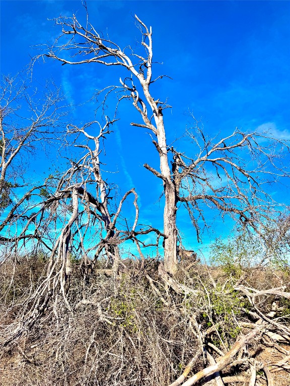 Tbd Tract H Tbd Tract H Scull Road San Marcos, TX 78666 - Photo 9 of 13 a view of a house with a yard
