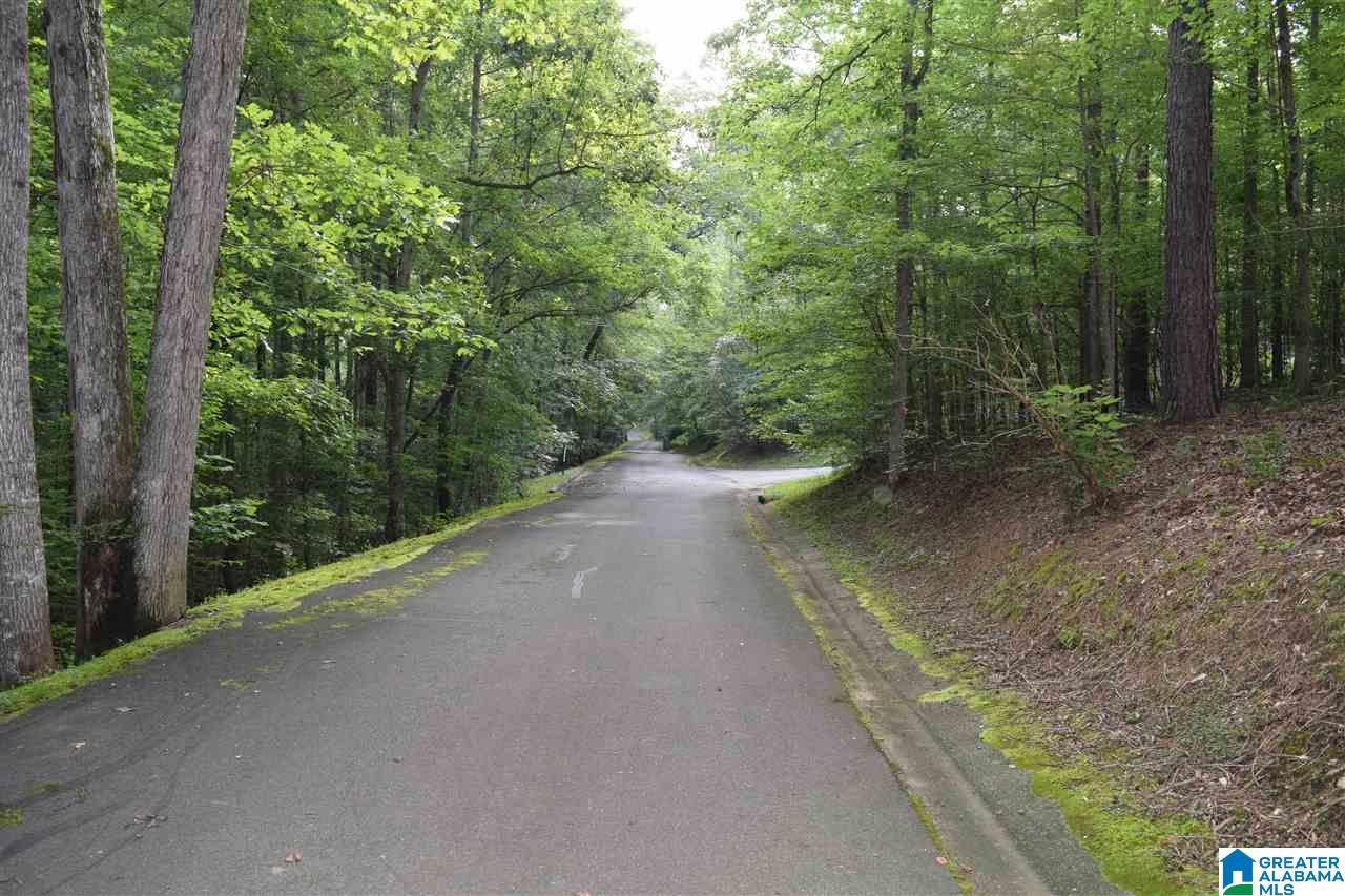 Lot 10 South Hollow Road, Unit 10 Hayden, AL 35079 - Photo 7 of 17