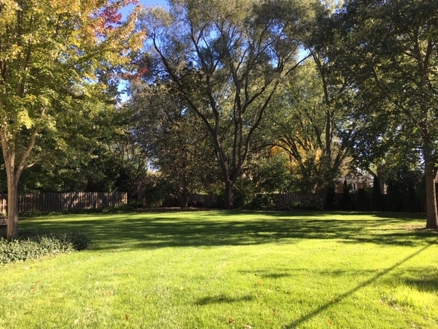 22W679 Poplar Road Glen Ellyn, IL 60137 - Photo 10 of 23 a view of a swimming pool in a yard with palm trees