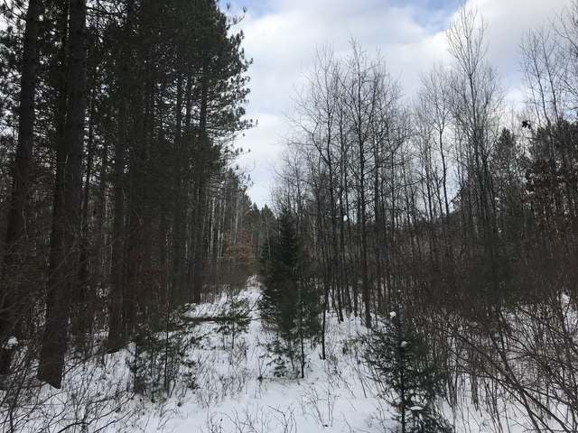160-ac Scotchman Lake Road Minocqua, WI 54548 - Photo 23 of 30 Gallery Image 23