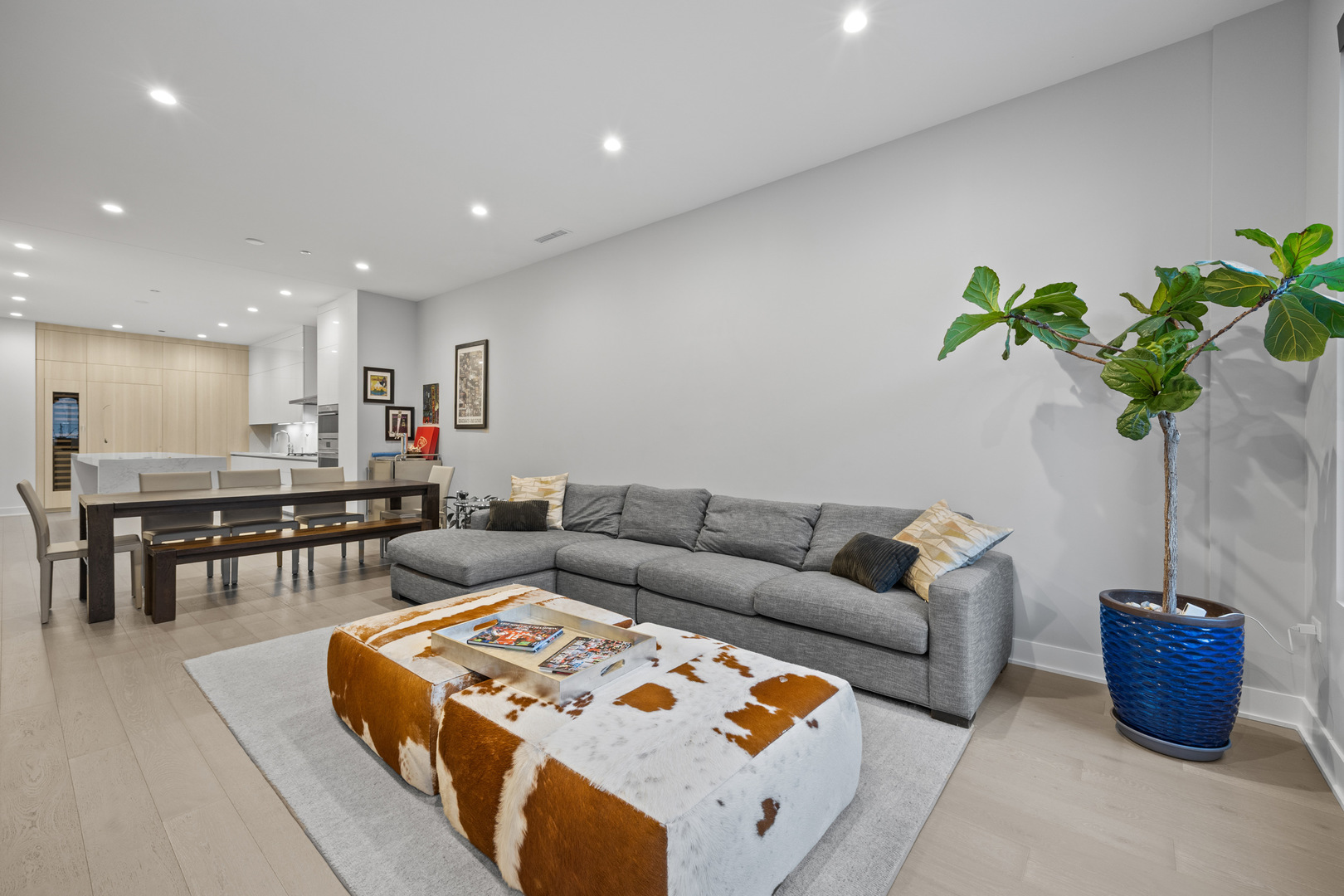 305 South Racine Avenue, Unit PHD Chicago, IL 60607 - Photo 3 of 41 a living room with furniture and a potted plant