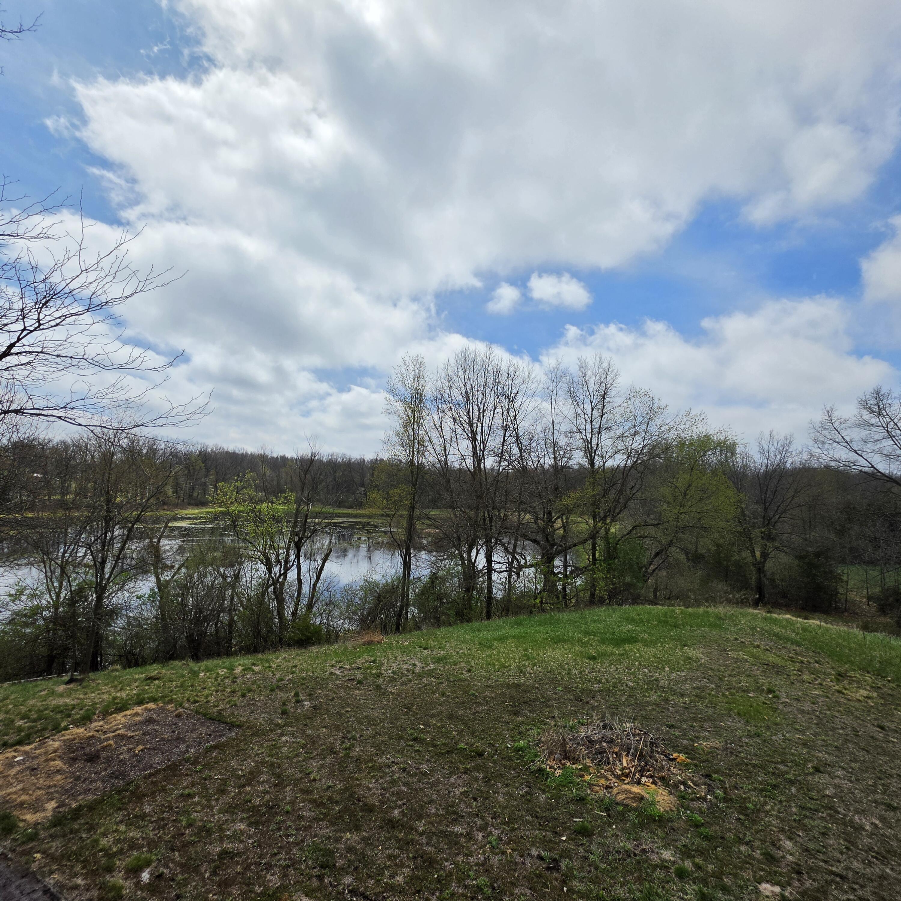 10650 Lawrence Road Brooklyn, MI 49230 - Photo 27 of 31 Pond