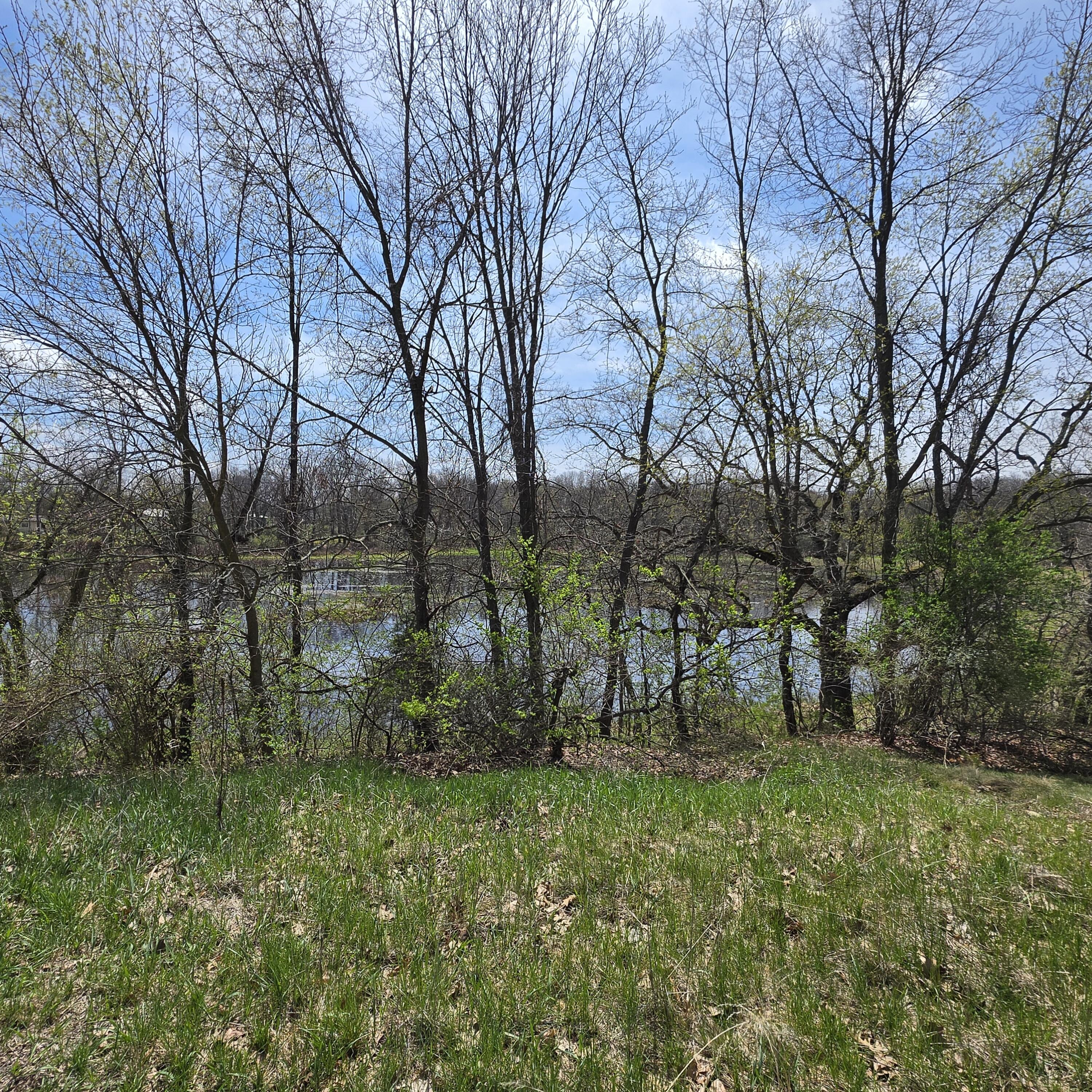 10650 Lawrence Road Brooklyn, MI 49230 - Photo 28 of 31 Pond View