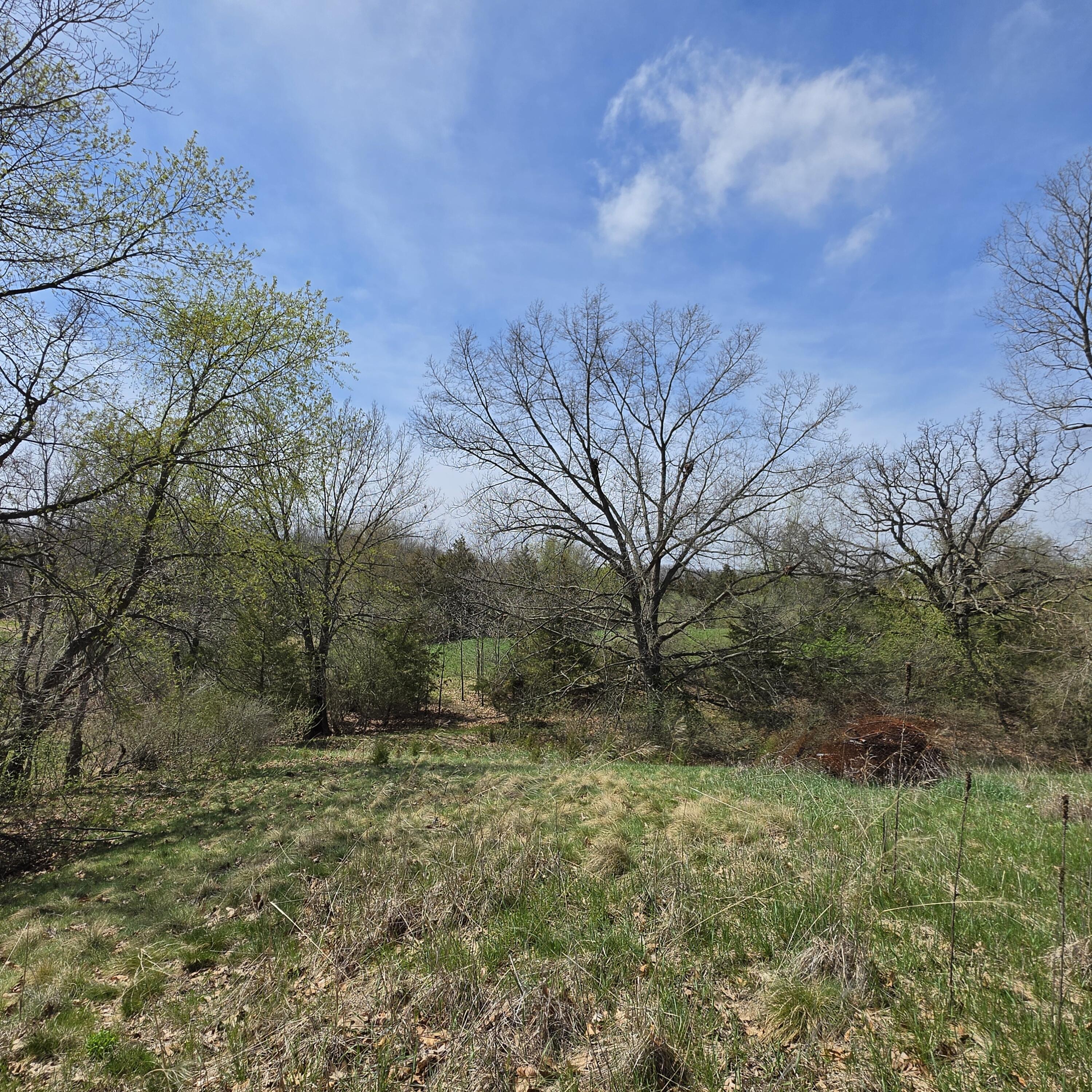 10650 Lawrence Road Brooklyn, MI 49230 - Photo 29 of 31 20260417_132420