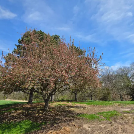 $399,900 | 10650 Lawrence Road, Brooklyn, MI 49230