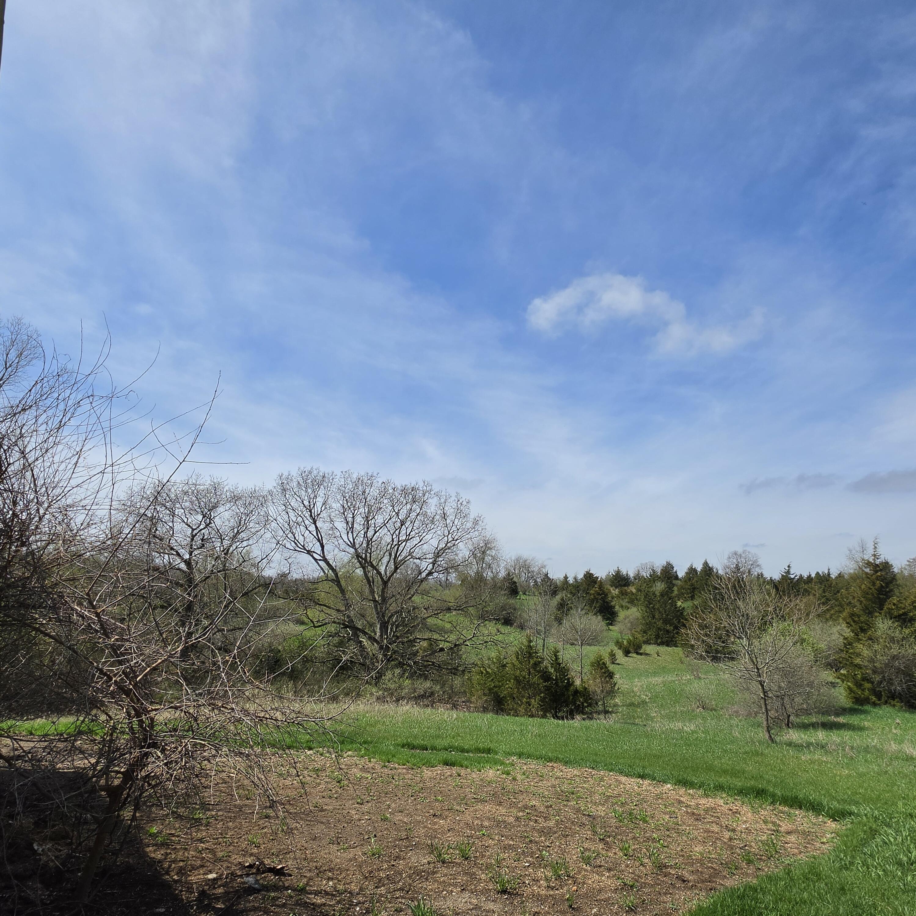 10650 Lawrence Road Brooklyn, MI 49230 - Photo 31 of 31 20260417_132533