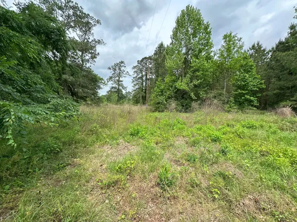 $350,000 | 5782 Highway 287, Groveton, TX 75845