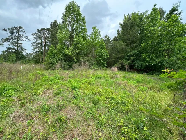 $350,000 | 5782 Highway 287, Groveton, TX 75845