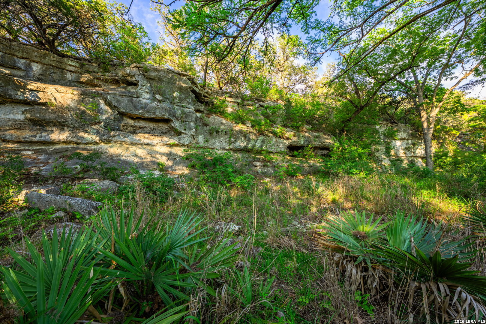 190 A Richter Road Boerne, TX 78006 - Photo 19 of 50