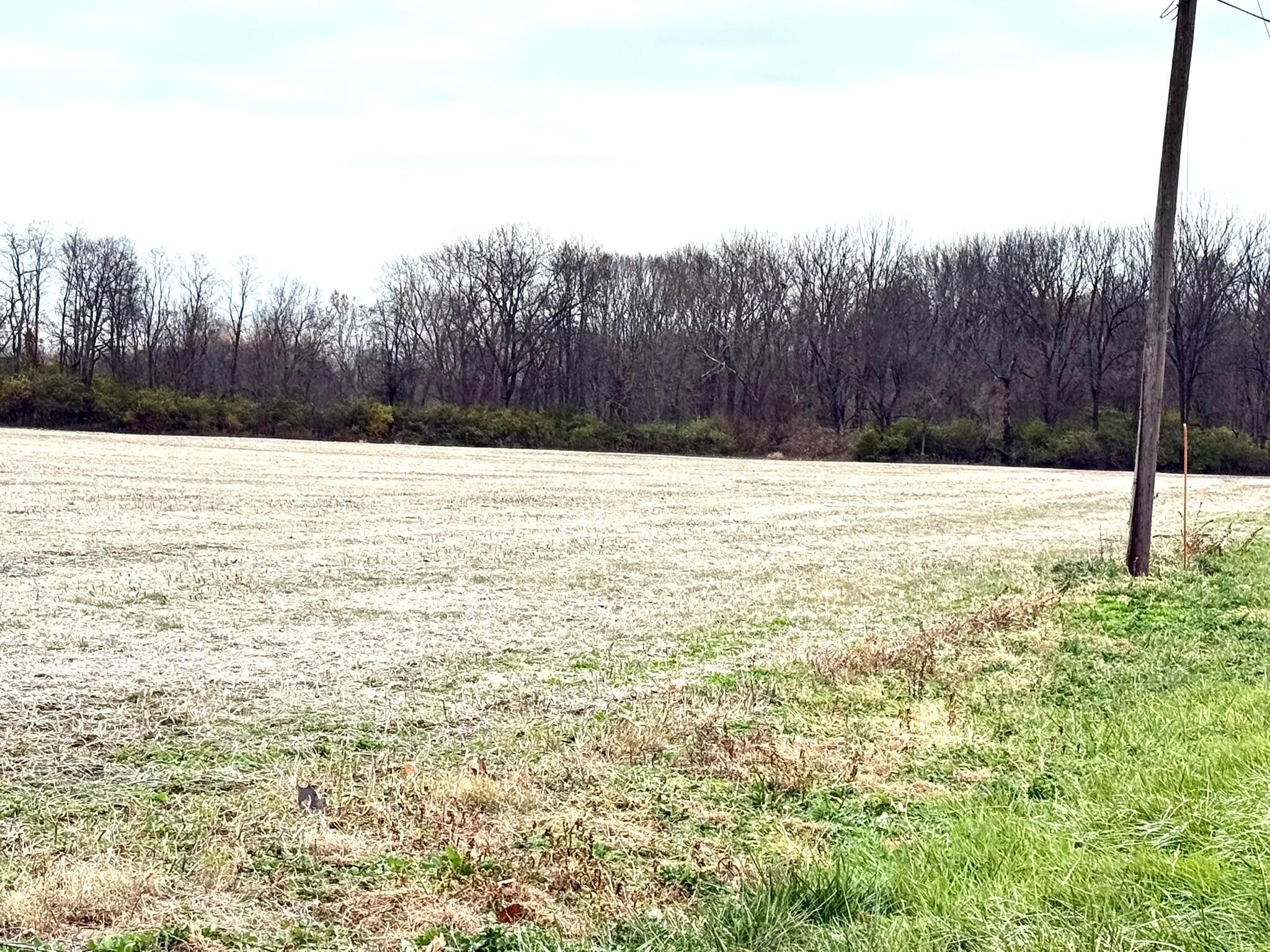6433 Lithopolis Road Groveport, OH 43125 - Photo 5 of 12 Land