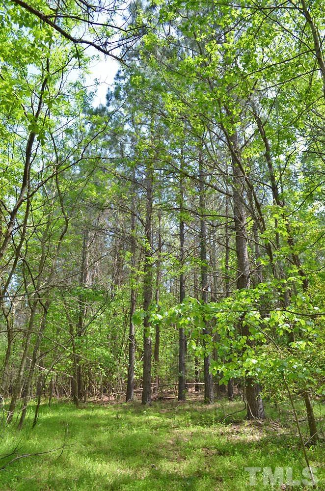 7-8 Mollie Mooney Road Roxboro, NC 27574 - Photo 5 of 7 a green field with lots of trees