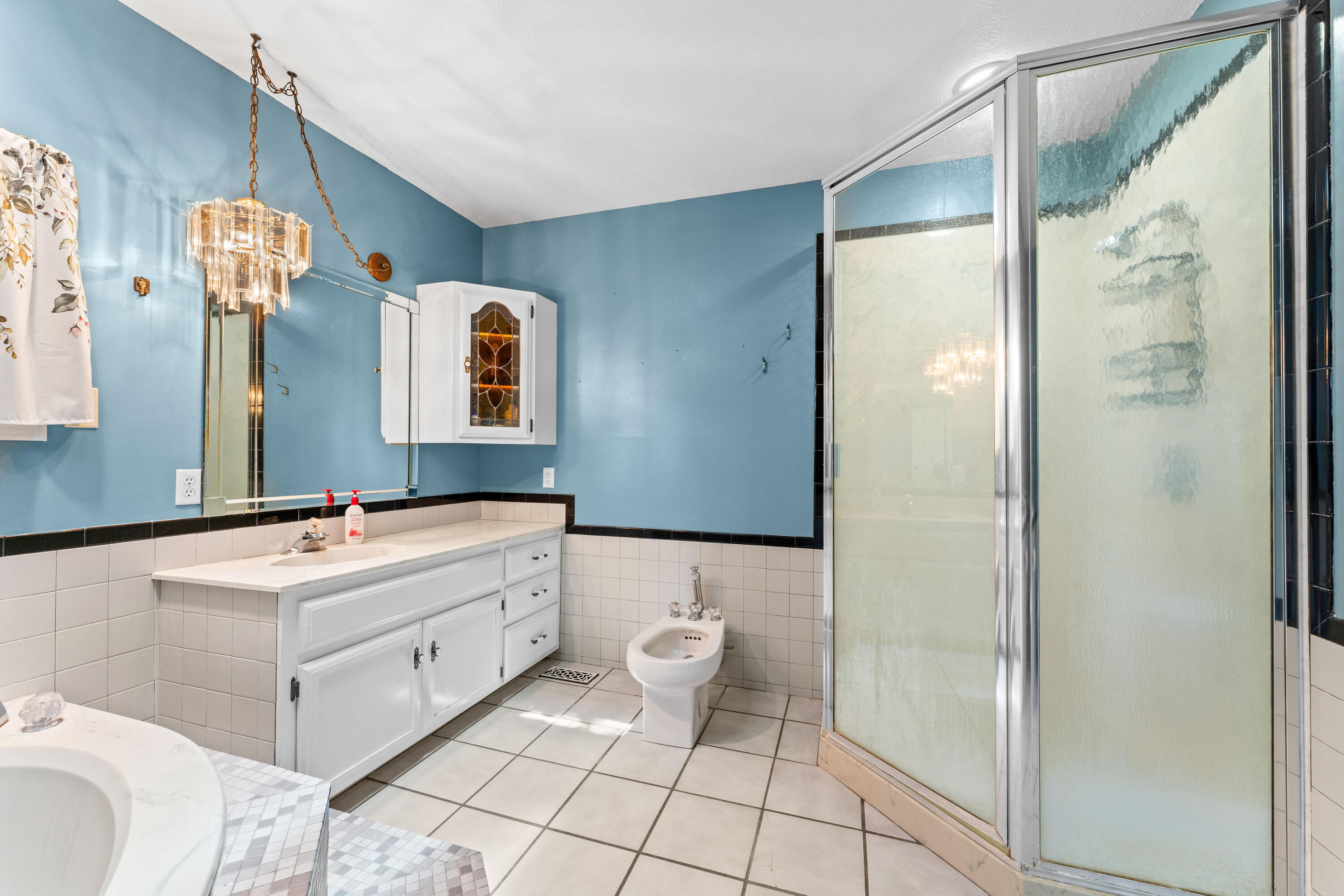 117 Hidden Bluff Road Blue Eye, MO 65611 - Photo 18 of 47 Master Bath with Walk in Shower