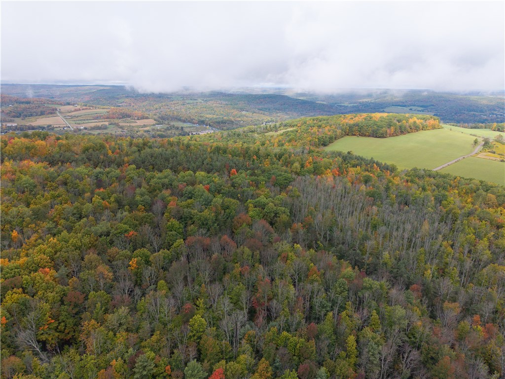 Clark Road Hornell, NY 14843 - Photo 19 of 26