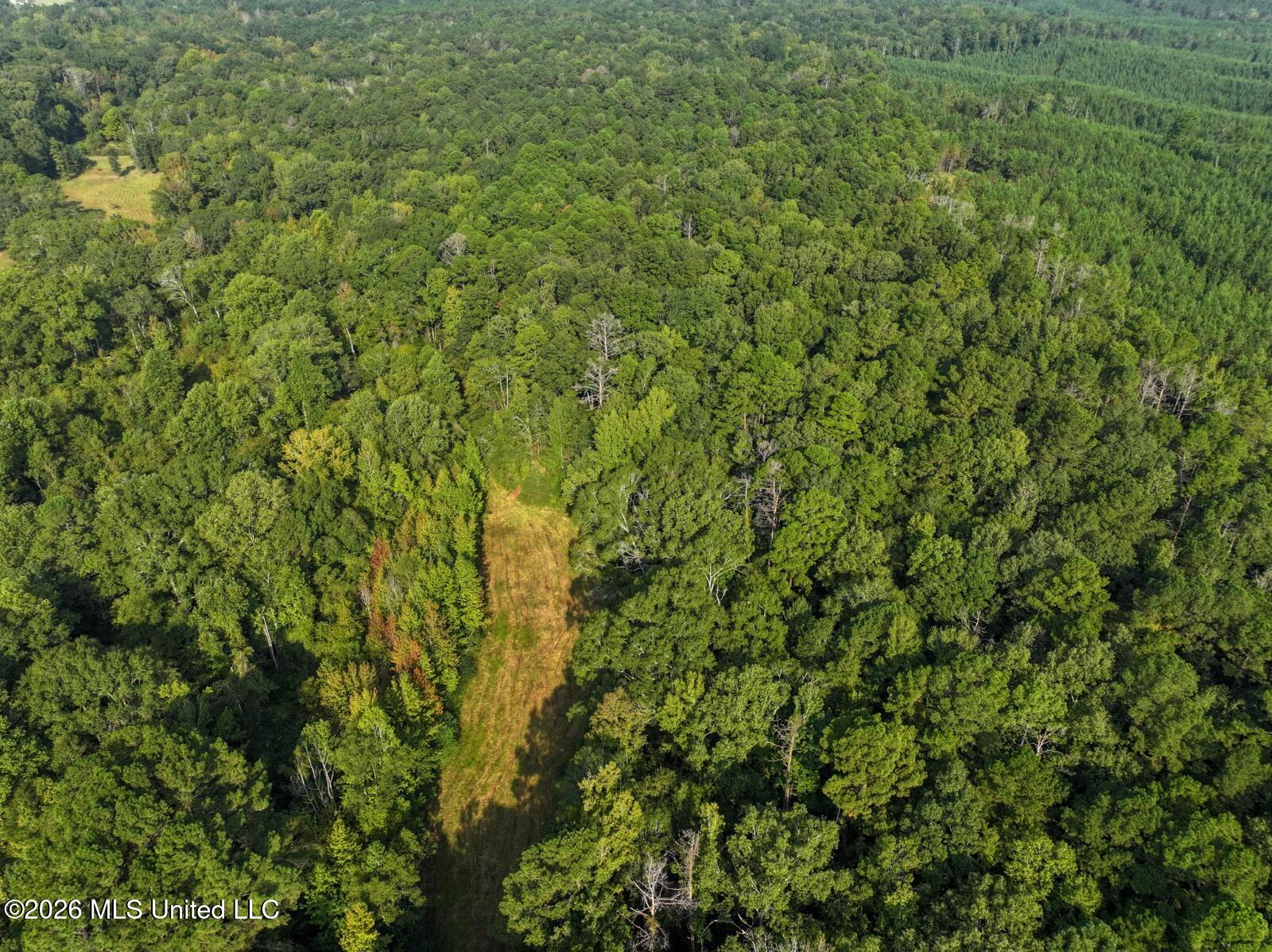 Bethesda Road Crystal Springs, MS 39059 - Photo 1 of 19 11612880-kNDv5C21CSGd5Wh5