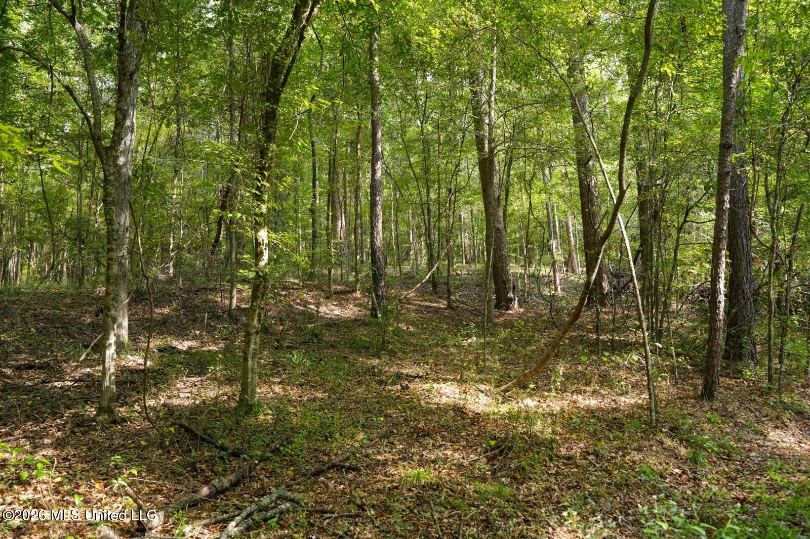 Bethesda Road Crystal Springs, MS 39059 - Photo 11 of 19 11612880-8zFzQzKjbdw7rC5f