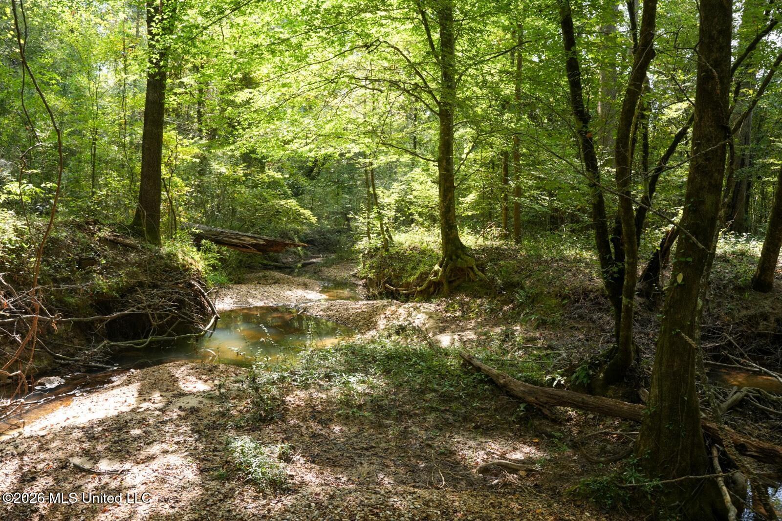 Bethesda Road Crystal Springs, MS 39059 - Photo 12 of 19 11612880-tTW7Frtp3qXxnHzz