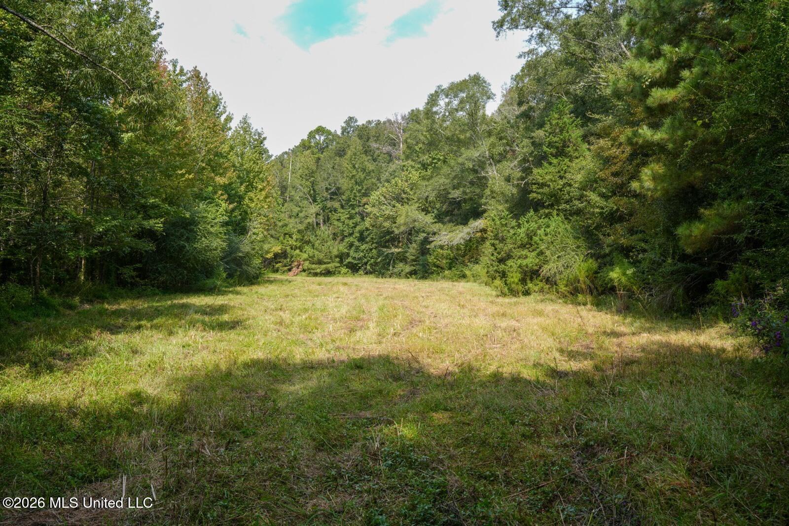 Bethesda Road Crystal Springs, MS 39059 - Photo 15 of 19 11612880-gNKr1cgTfyd8cj51