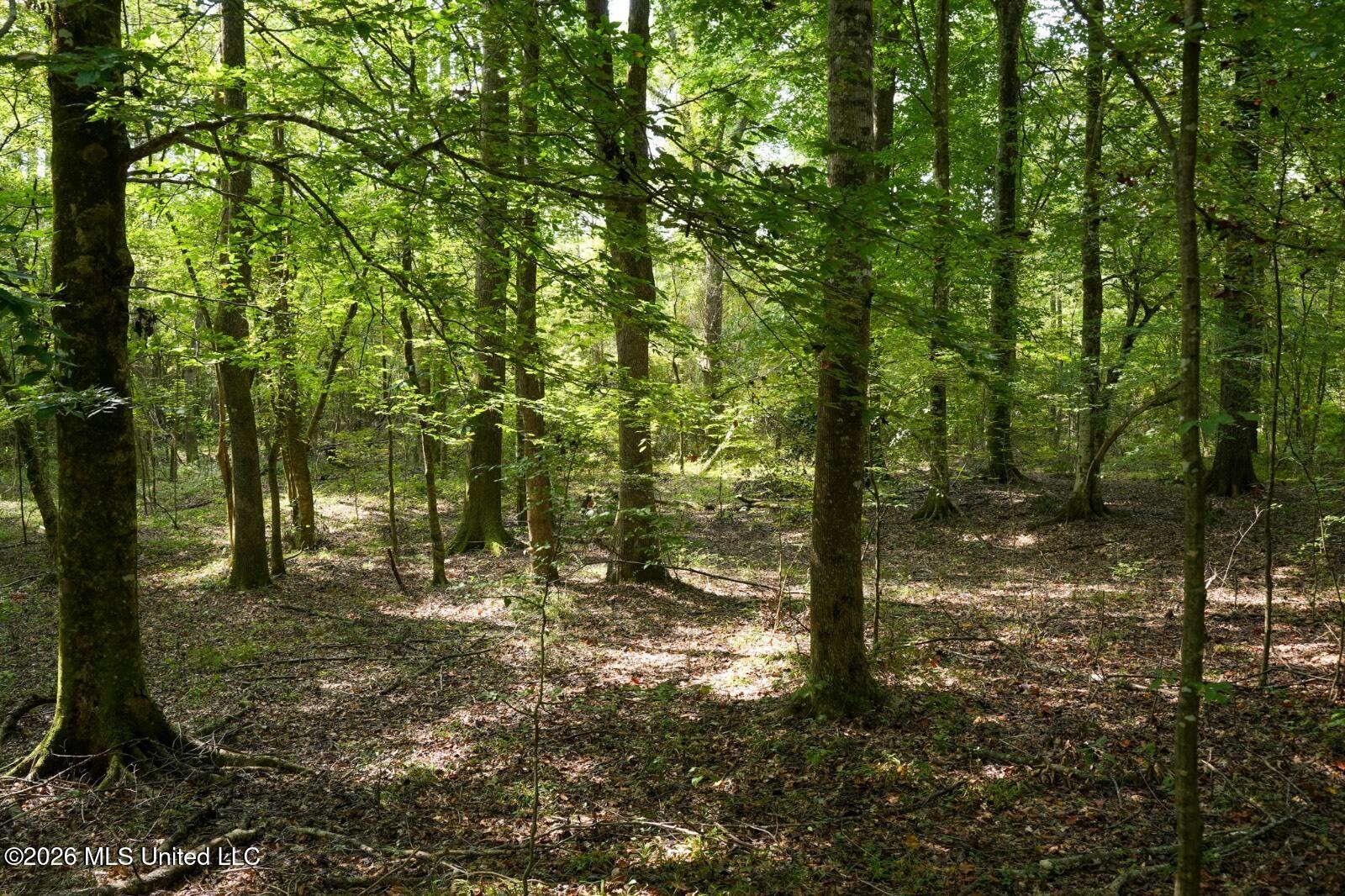 Bethesda Road Crystal Springs, MS 39059 - Photo 17 of 19 11612880-Qs8gjGQlPP11sdyX