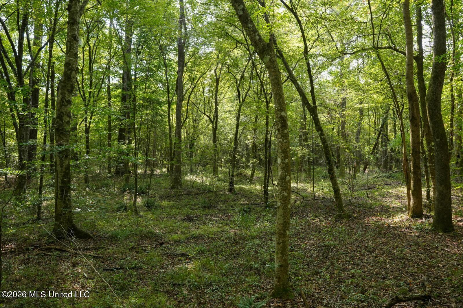 Bethesda Road Crystal Springs, MS 39059 - Photo 18 of 19 11612880-wqQNp3rc3RtJCzPc