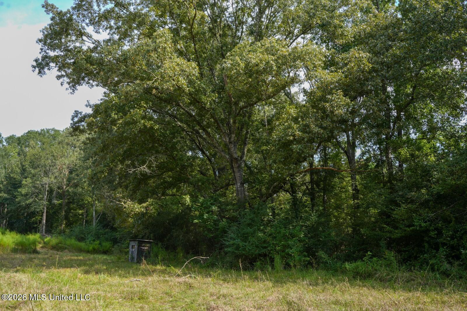 Bethesda Road Crystal Springs, MS 39059 - Photo 19 of 19 11612880-HY9w1cKNRjGj5DCD