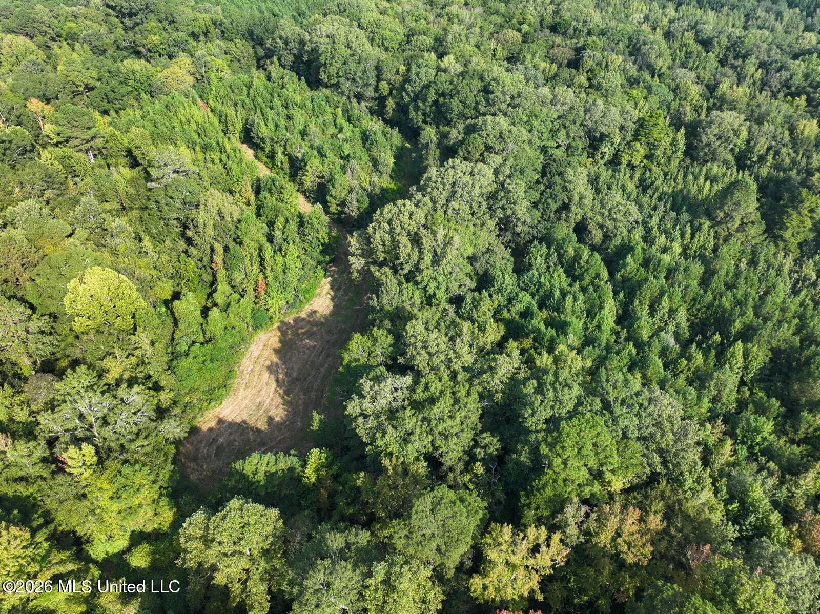 Bethesda Road Crystal Springs, MS 39059 - Photo 3 of 19 11612880-36hsl7P5DDBDQKCz