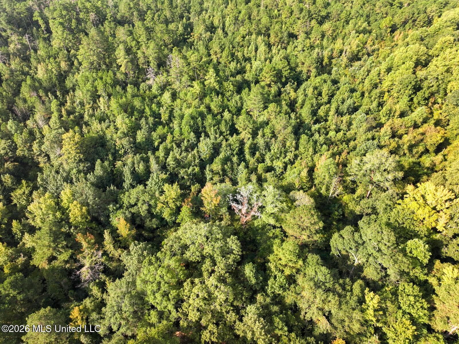 Bethesda Road Crystal Springs, MS 39059 - Photo 5 of 19 11612880-Zr2RX2S1ZJKqk3sl
