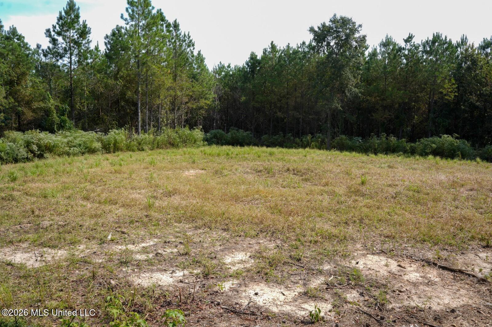 Bethesda Road Crystal Springs, MS 39059 - Photo 7 of 19 11612880-fCfmPfNcYpVkSqmd