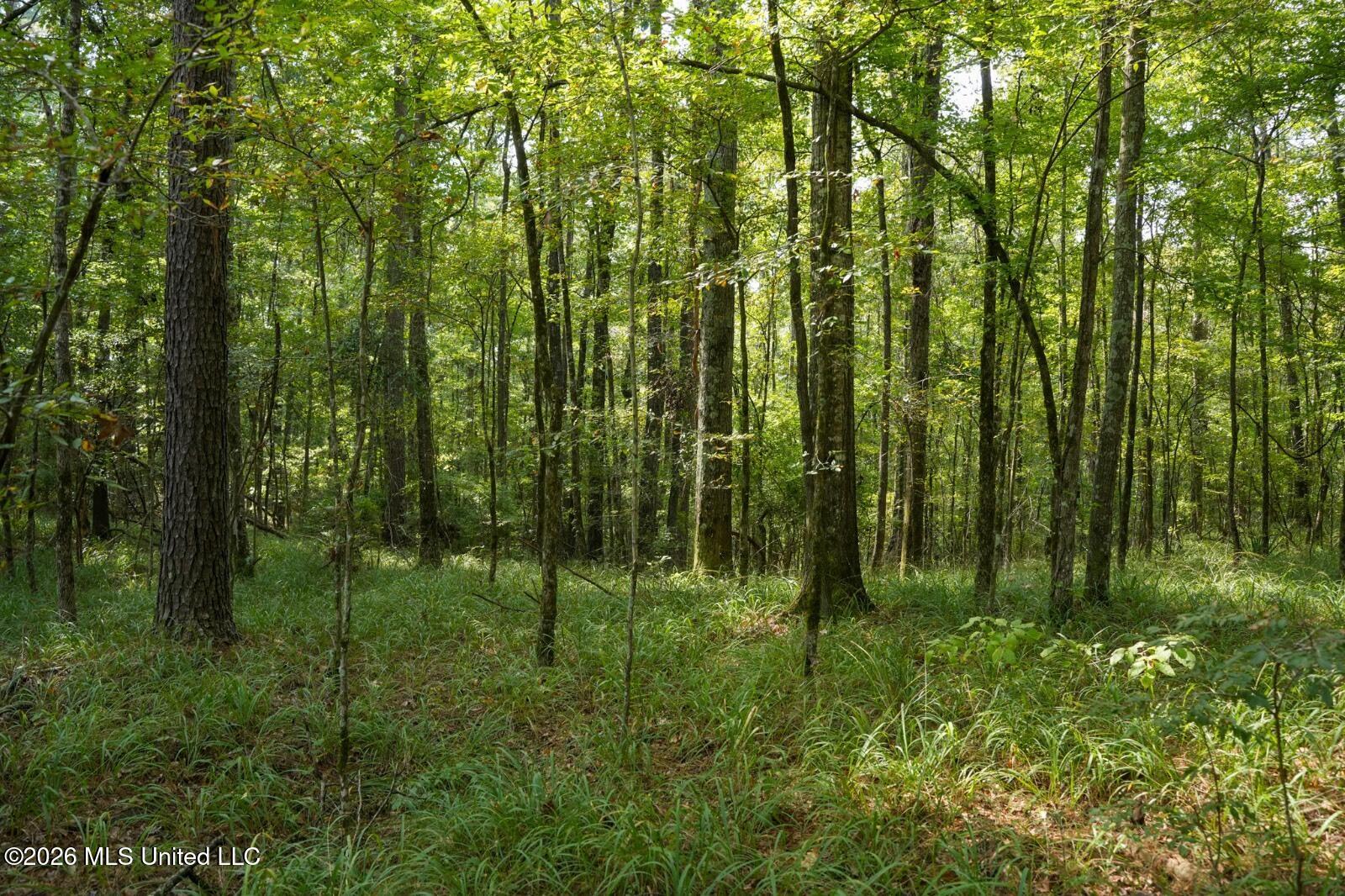 Bethesda Road Crystal Springs, MS 39059 - Photo 9 of 19 11612880-2Hzj7BkrcdbdpS6n
