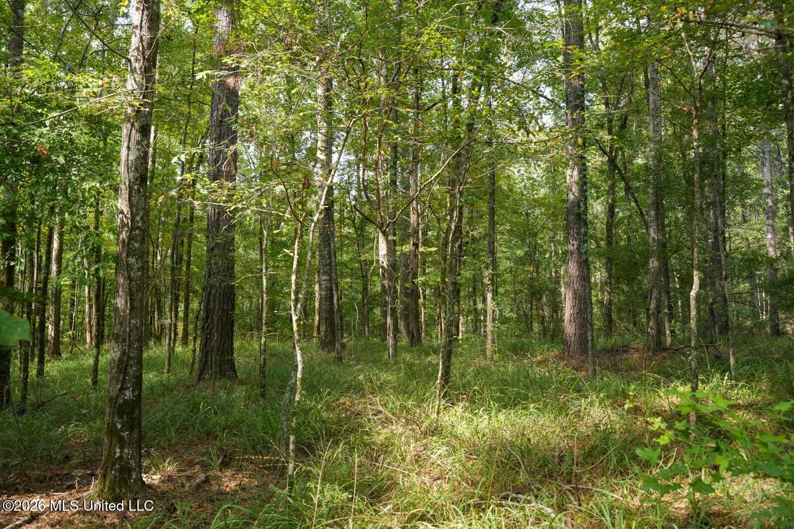 Bethesda Road Crystal Springs, MS 39059 - Photo 10 of 19 11612880-cYtlsRnFYlcRbzbx