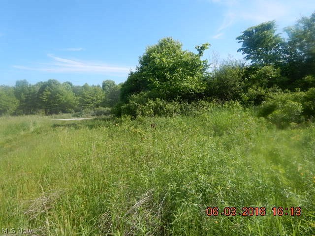 Hoffman Road Rome, OH 44085 - Photo 4 of 34