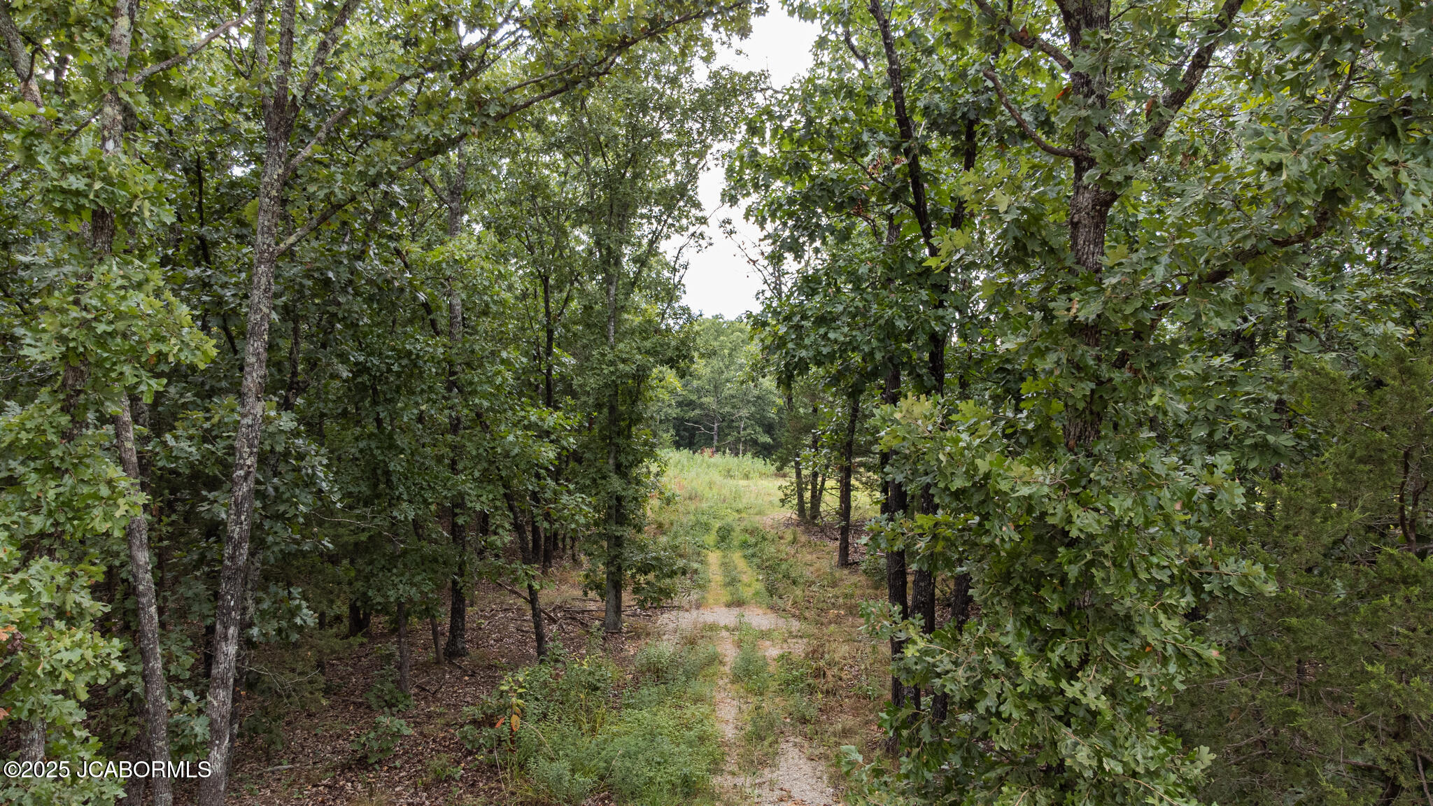 Tbd Peterson Road Bland, MO 65014 - Photo 1 of 9