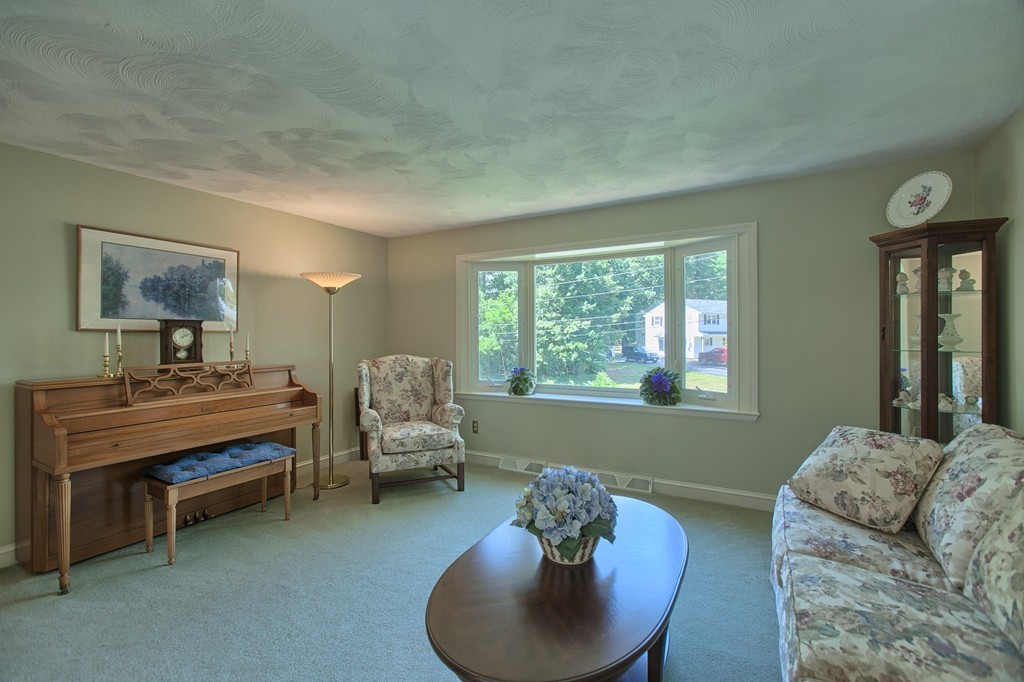 130 Ferncroft Road Tewksbury, MA 01876 - Photo 10 of 29 a living room with furniture and a potted plant