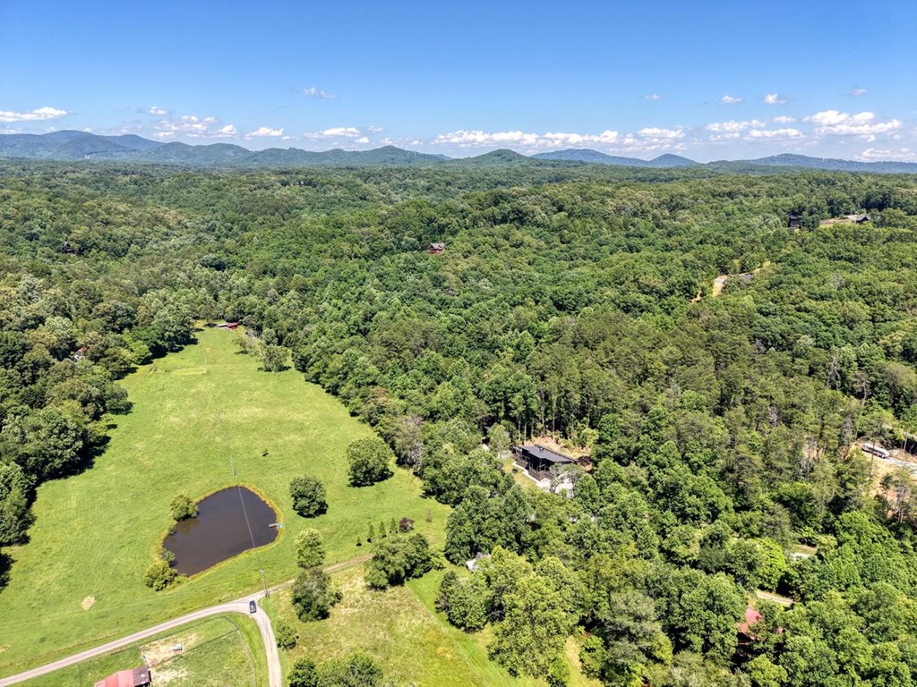 500 Williamstown Road Mineral Bluff, GA 30559 - Photo 70 of 71 Aerial View