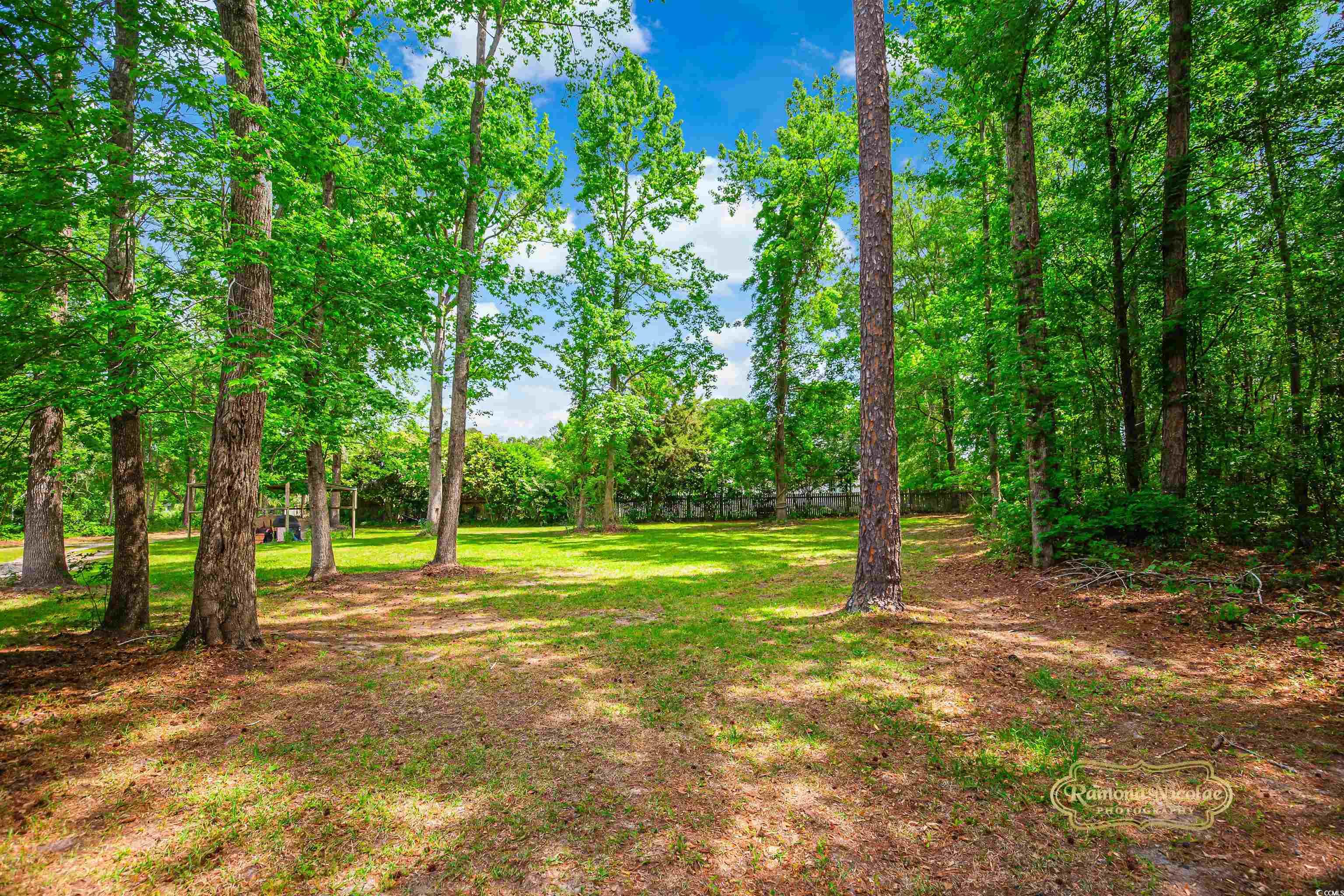 4391 Party Pines Road Conway, SC 29526 - Photo 8 of 32 Gallery Image 8