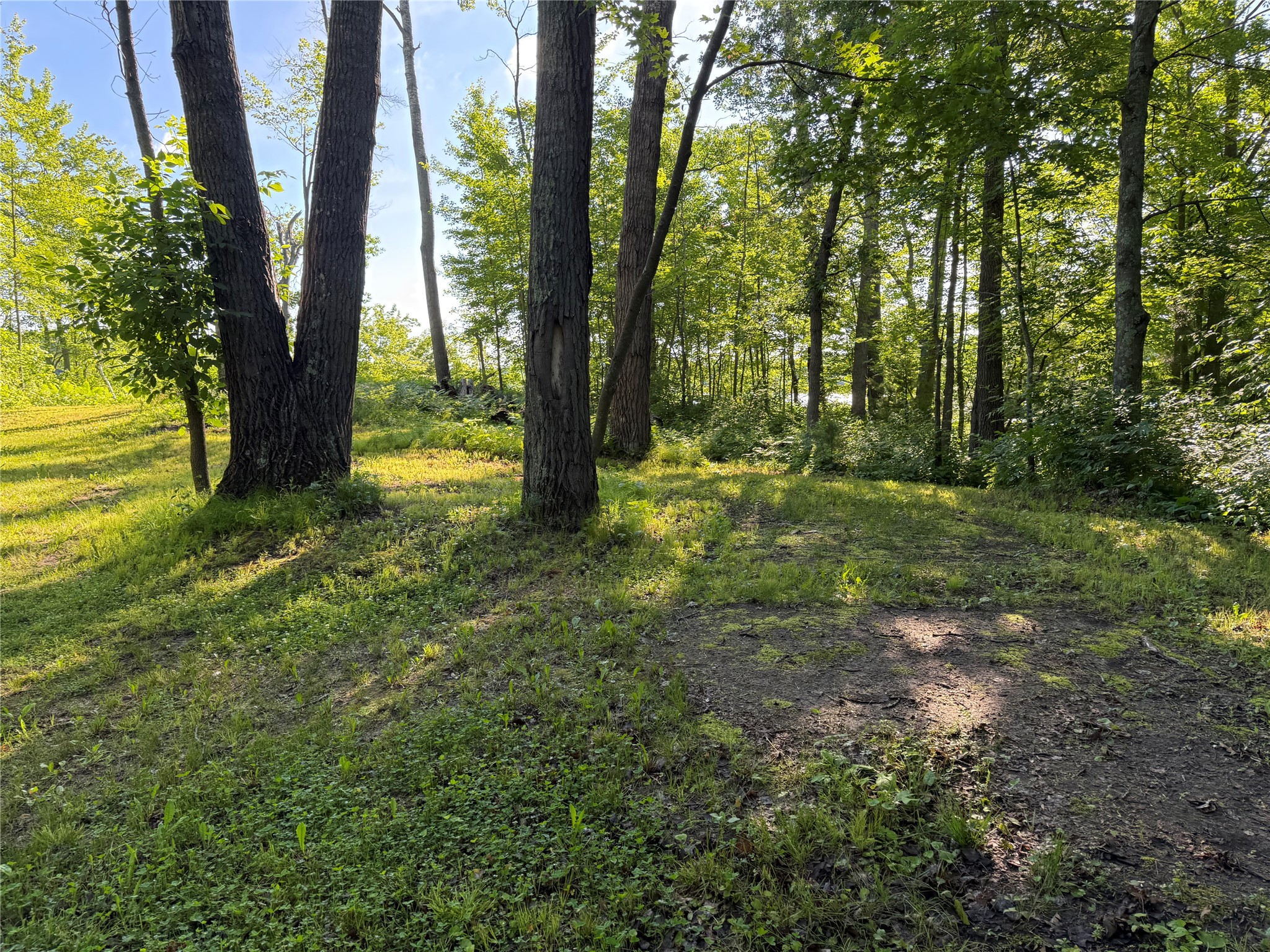 Xxx Sathre Lane Shell Lake, WI 54871 - Photo 7 of 36
