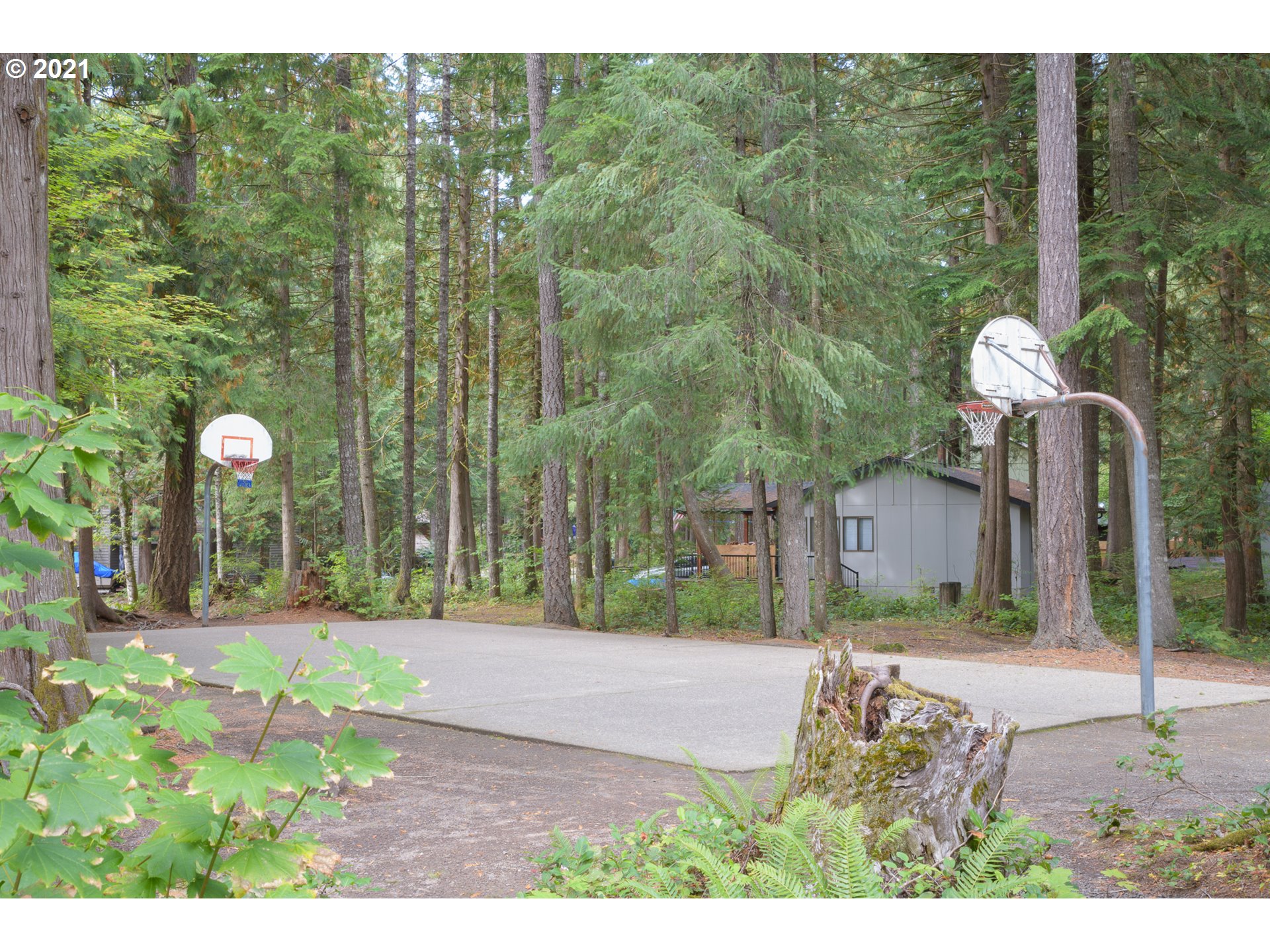 64633 East Sandy River Lane Rhododendron, OR 97049 - Photo 32 of 32 Gallery Image 32